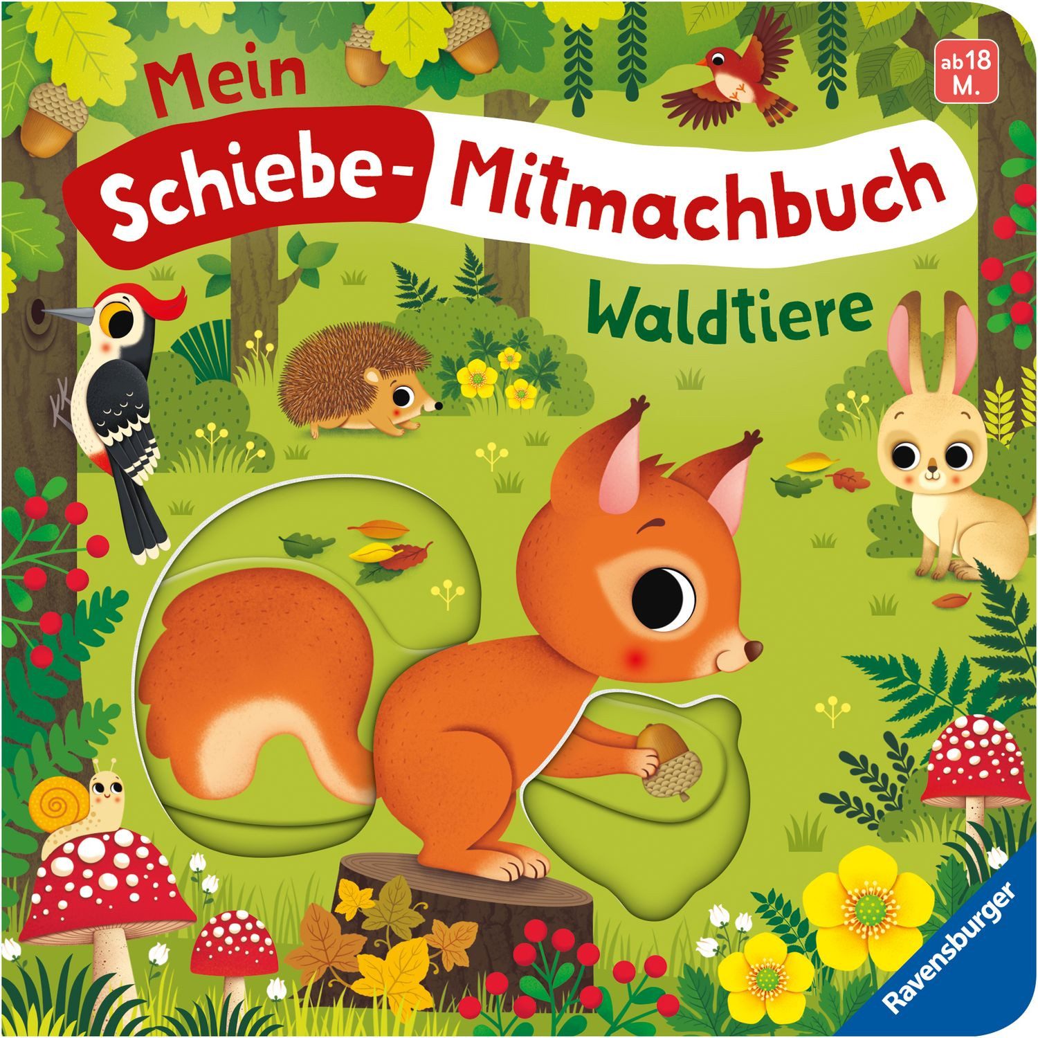 Mein Schiebe-Mitmachbuch - Waldtiere / Bernd Penners