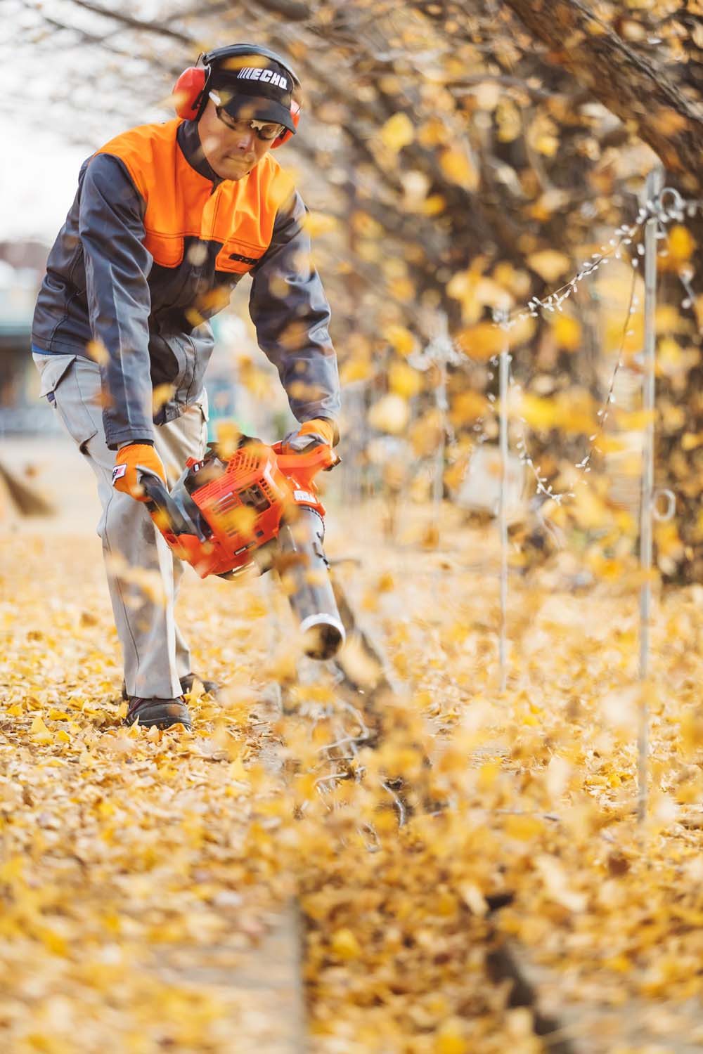 Echo Benzin-Laubbläser PB-2620 Laubbläser