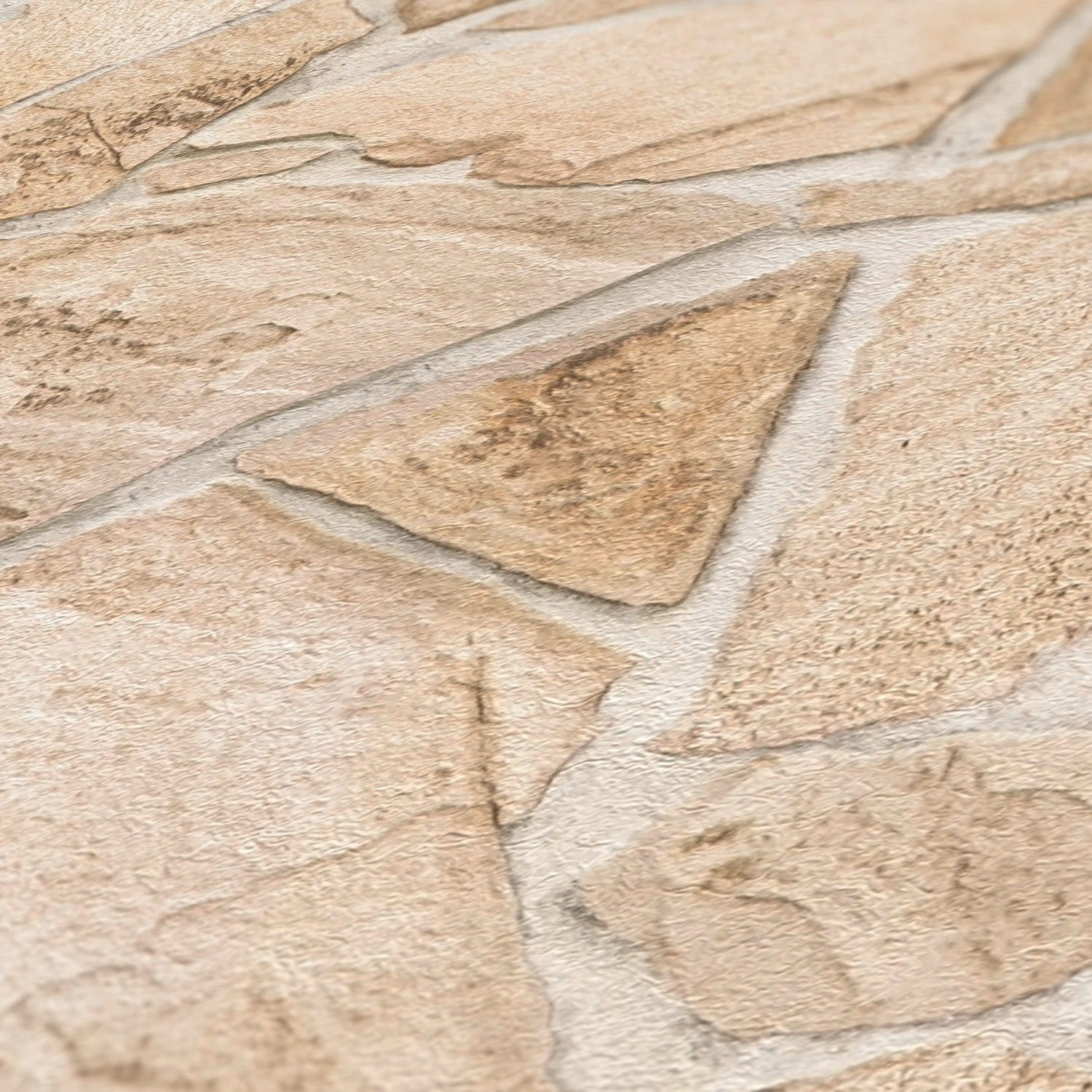 A.S. Création Vliestapete Terra Tapete Steinoptik, günstig online kaufen