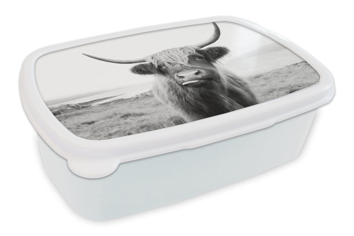 MuchoWow Lunchbox Tiere - Schottischer Highlander - Kuh - Schwarz - Weiß, Kunststoff, (2-tlg), Brotbox für Kinder und Erwachsene, Brotdose, für Jungs und Mädchen