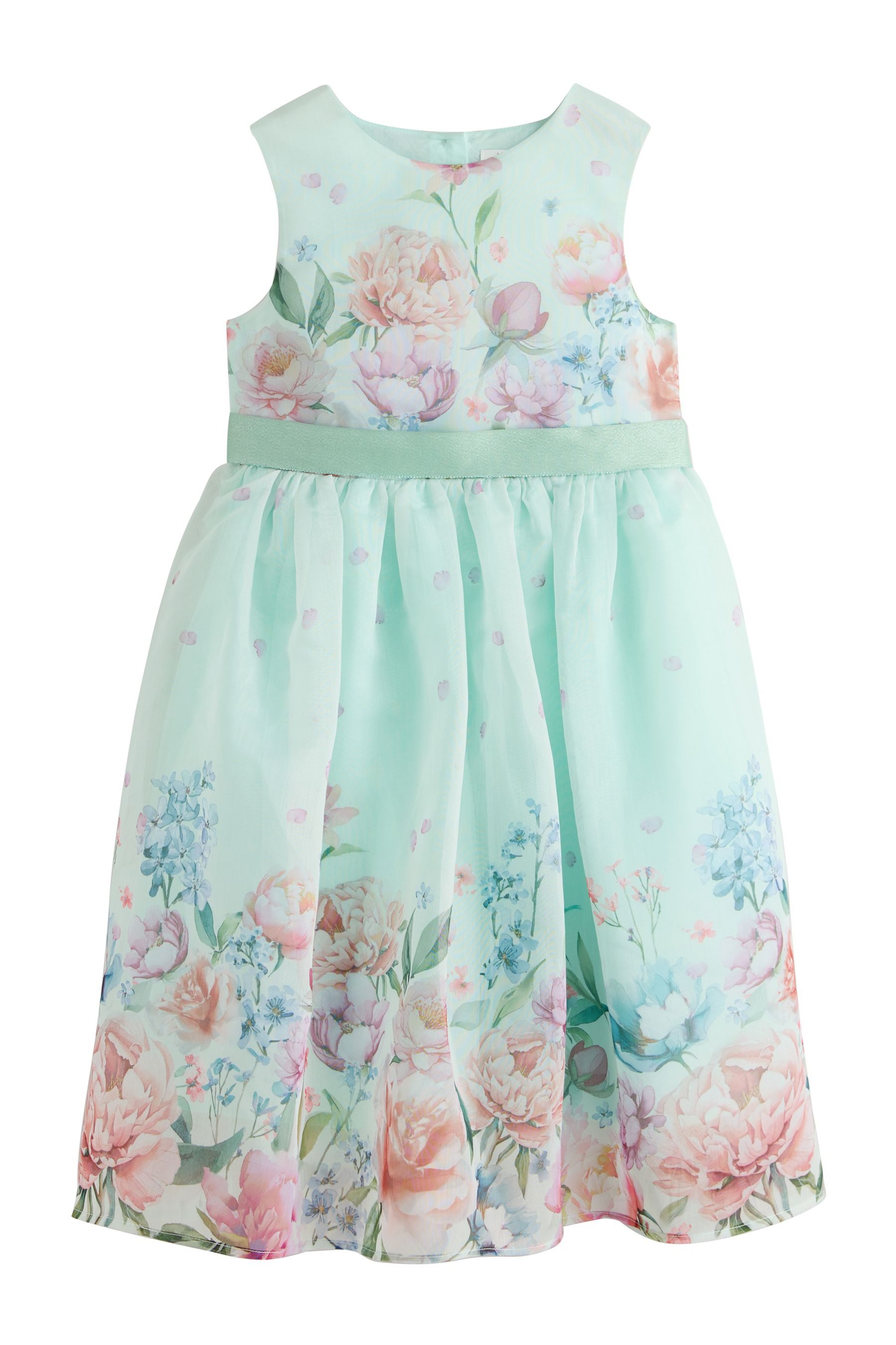 Next Tüllkleid Festliches Kleid mit floralem Muster (1-tlg)