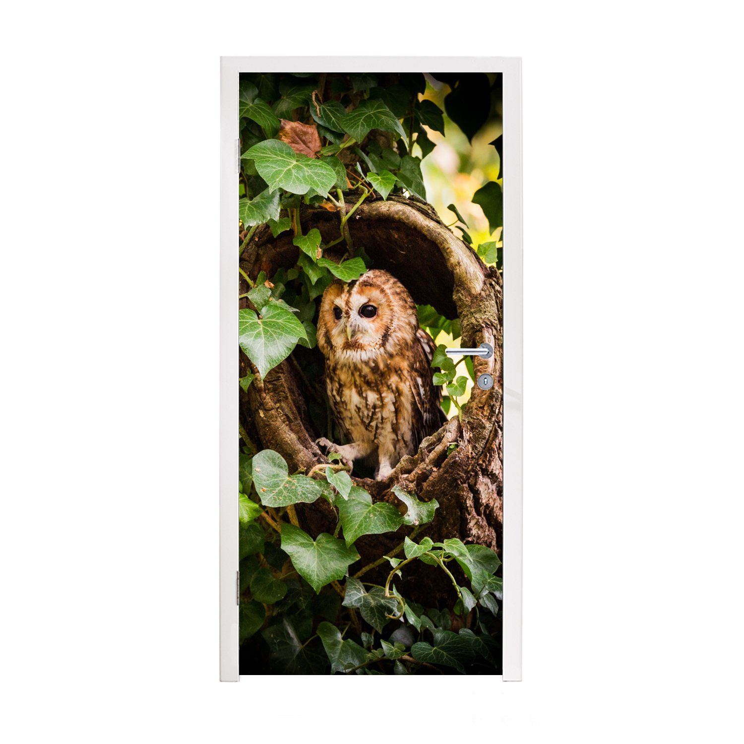 MuchoWow Türtapete Ein Waldkauz in einem Baumstamm, Matt, bedruckt, (1 St), Fototapete für Tür, Türaufkleber, 75x205 cm