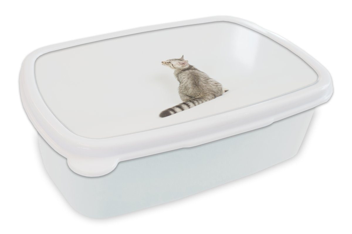 MuchoWow Lunchbox Katze - Haustiere - Fell, Kunststoff, (2-tlg), Brotbox für Kinder und Erwachsene, Brotdose, für Jungs und Mädchen weiß