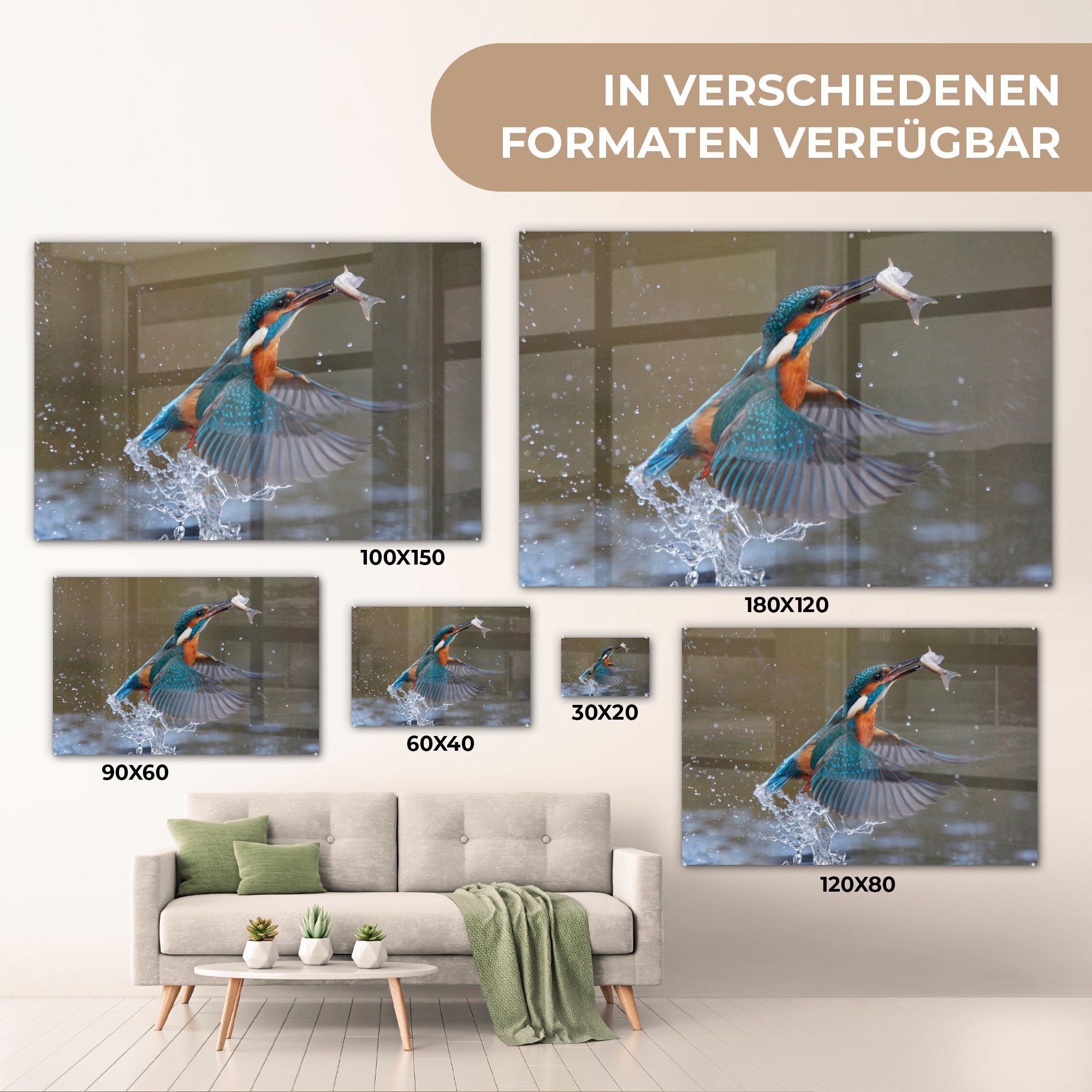 & - (1 Eisvogel Schlafzimmer Fisch MuchoWow Wohnzimmer Acrylglasbild - Wasser, St), Acrylglasbilder