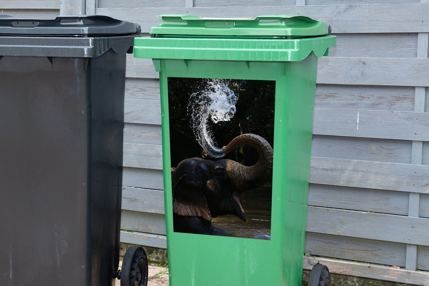 Mülltonne, Wandsticker MuchoWow Rüssel - Abfalbehälter Natur Tiere Elefant - Sticker, (1 Mülleimer-aufkleber, - Container, Wasser - St),