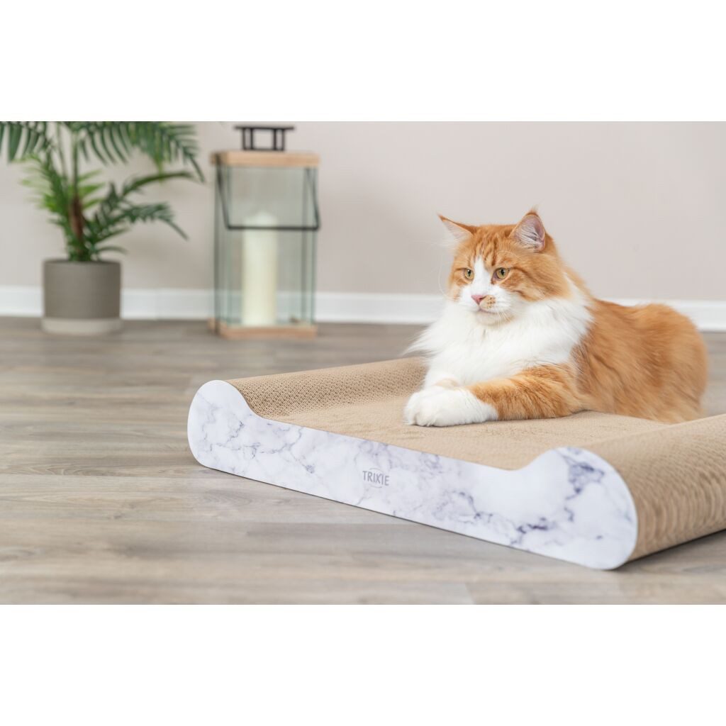 TRIXIE Kratzpappe Kratzpappe XXL - hellgrau - 64 × 11 × 37 cm