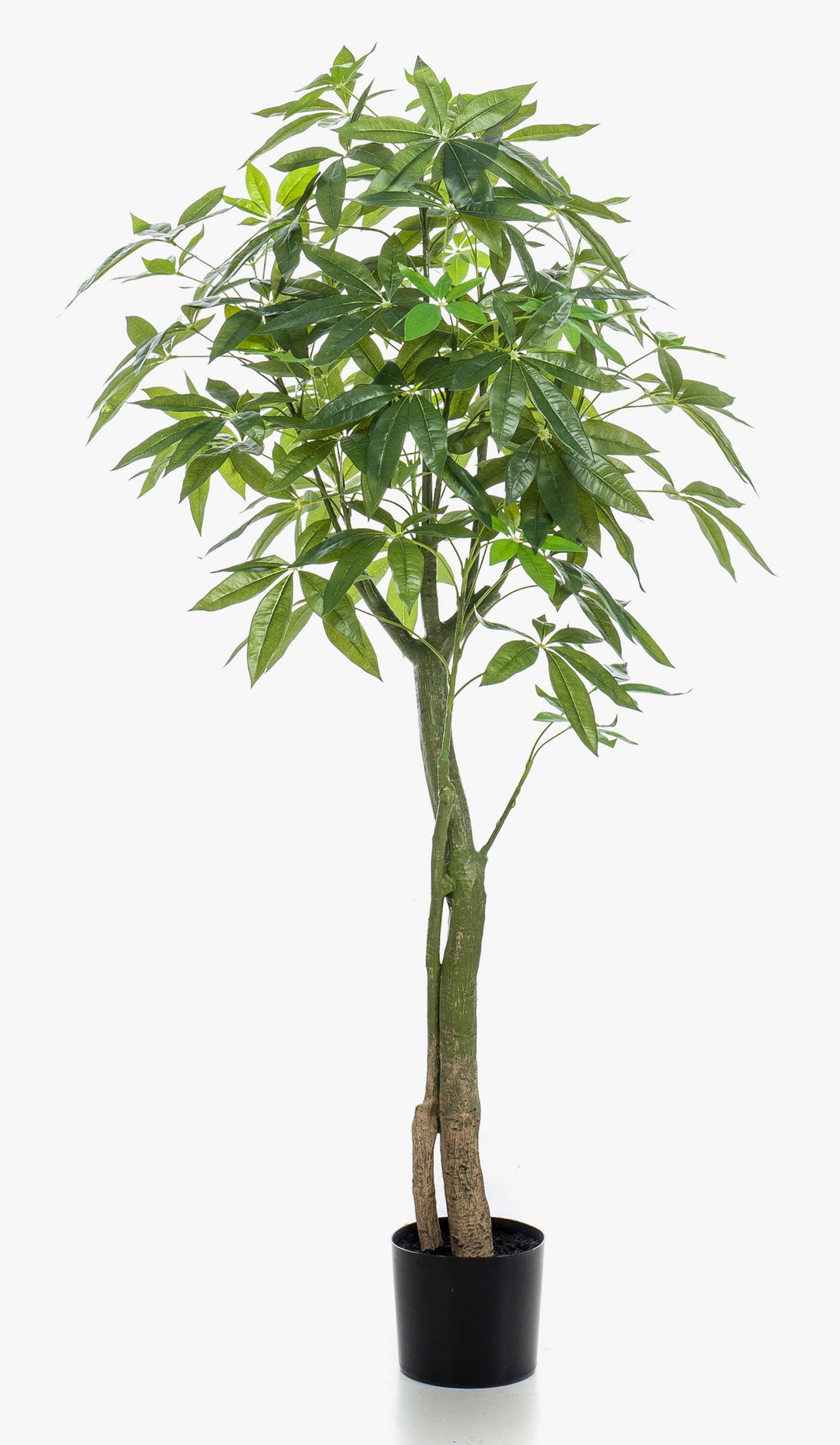 Kunstbaum Künstliche Glückskastanie Haruki, Kunststämme, 150cm Pachira, artplants, Höhe 150.0 cm