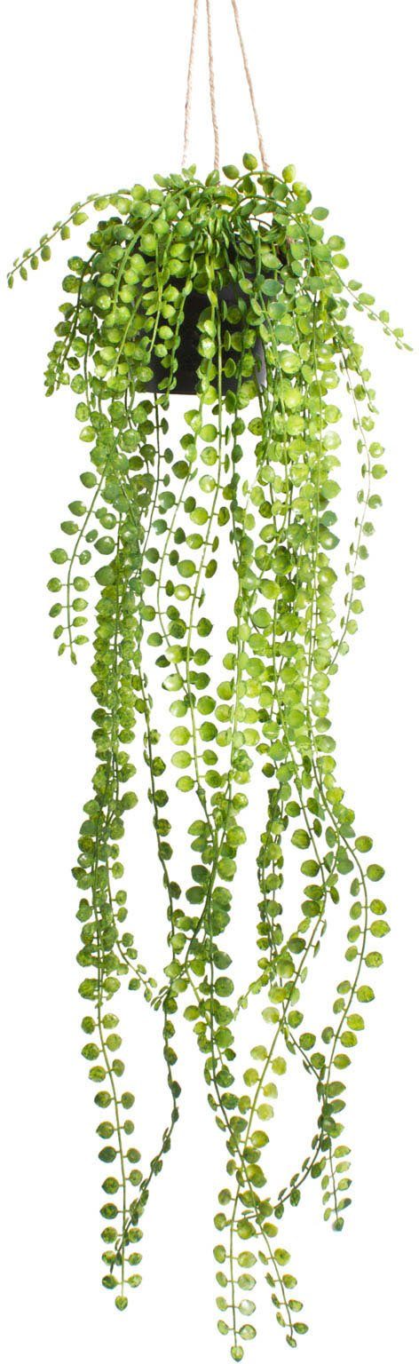 Künstliche Zimmerpflanze Ficus-Pumila-Hängeampel