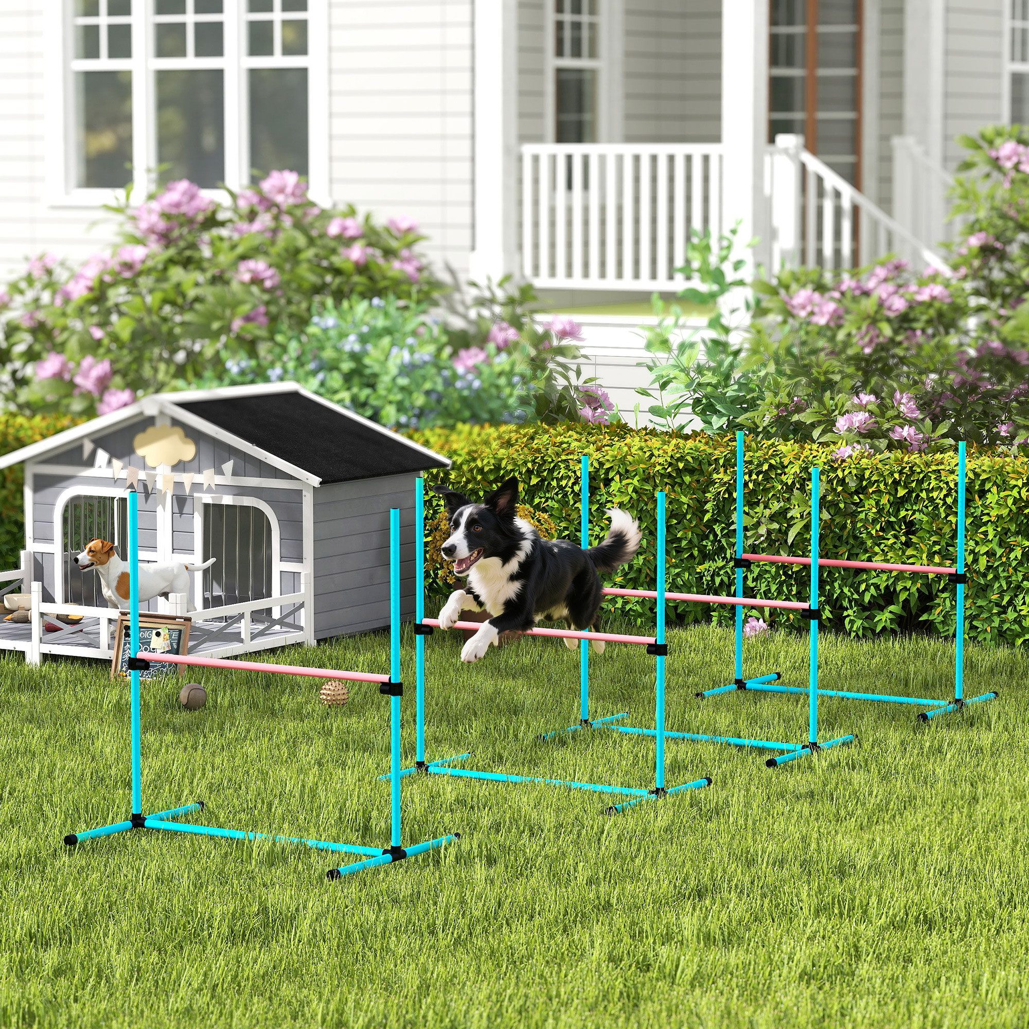PawHut Agility-Hürde Agility Set höhenverstellbar Sprungstangen-Set mit Tragetasche, Kunststoff, Agility Set (4-tlg) für Hundetraining, Spiele Training, Hellblau