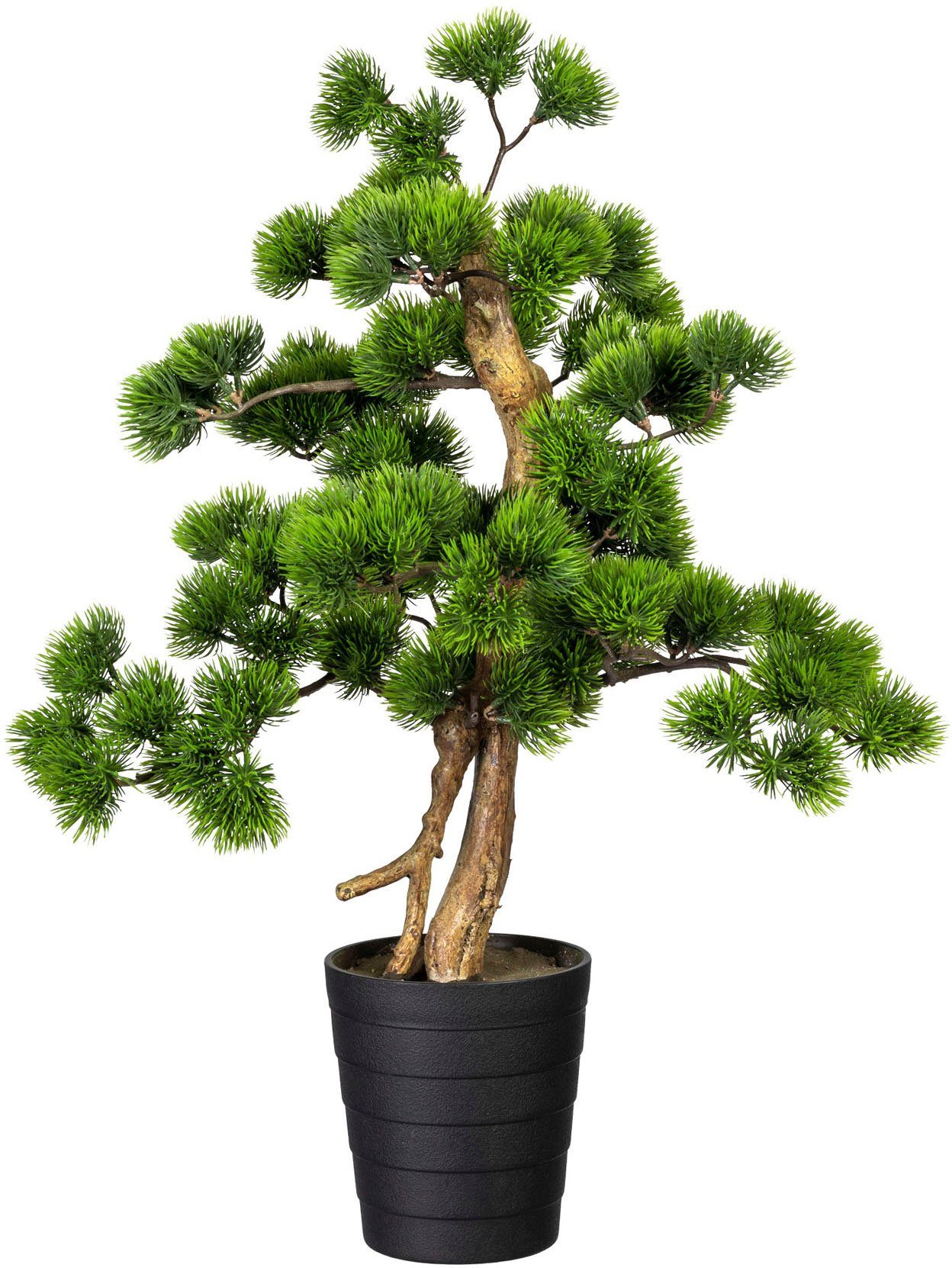 Kunstbonsai Bonsai Kiefer Bonsai Kiefer, Creativ günstig online kaufen