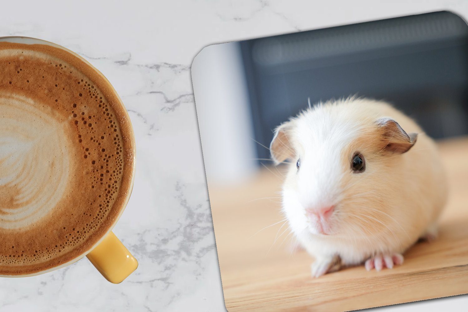 MuchoWow Glasuntersetzer Niedliches Baby-Meerschweinchen, Tasse Tischuntersetzer, 6-tlg., Zubehör Korkuntersetzer, für Gläser, Glasuntersetzer, Untersetzer