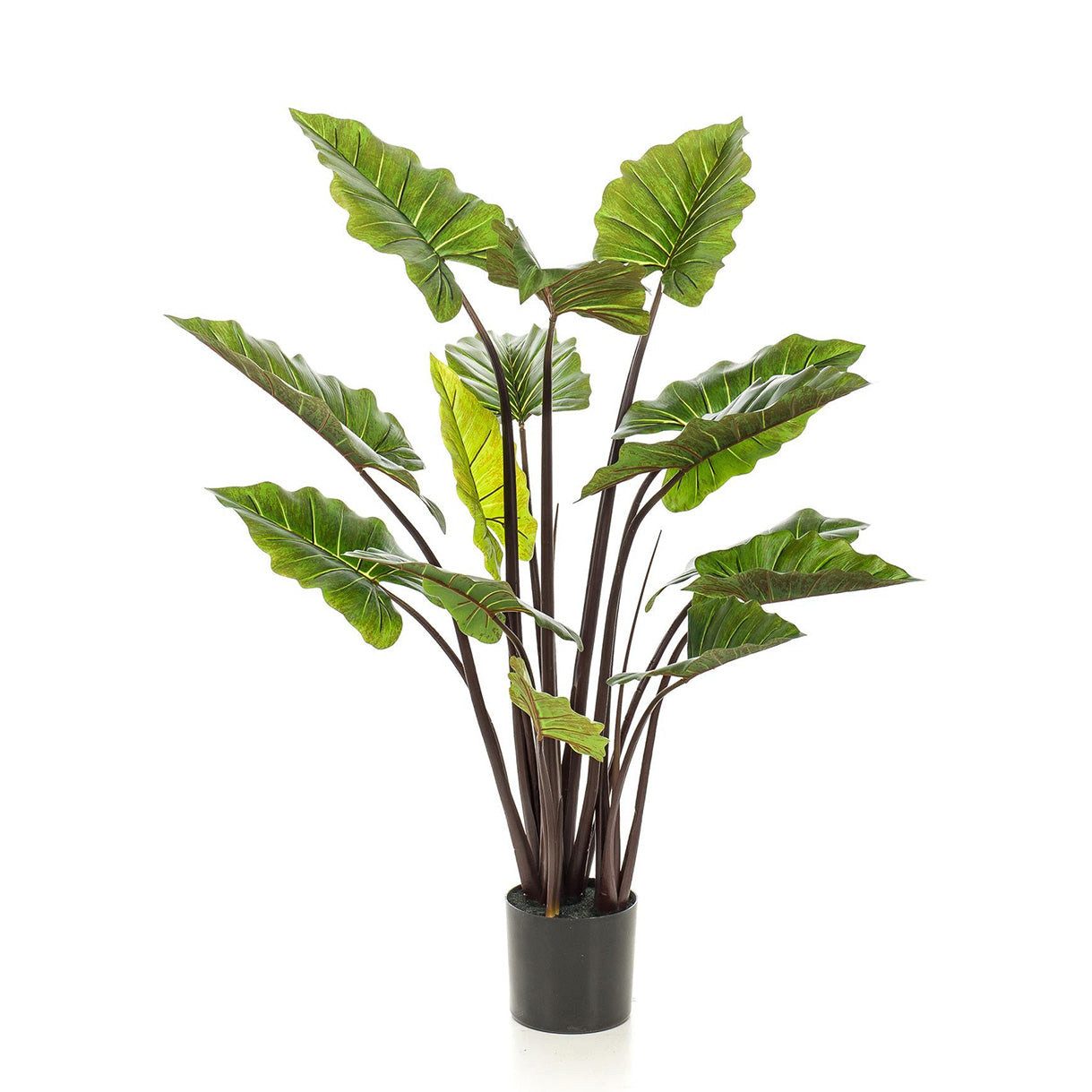 Kunstpflanze Künstliche Pflanze Colocasia Pink China – Elefantenohr – 130 cm Elefantenohr, Florora, Höhe 130 cm, realistische Zimmerdeko