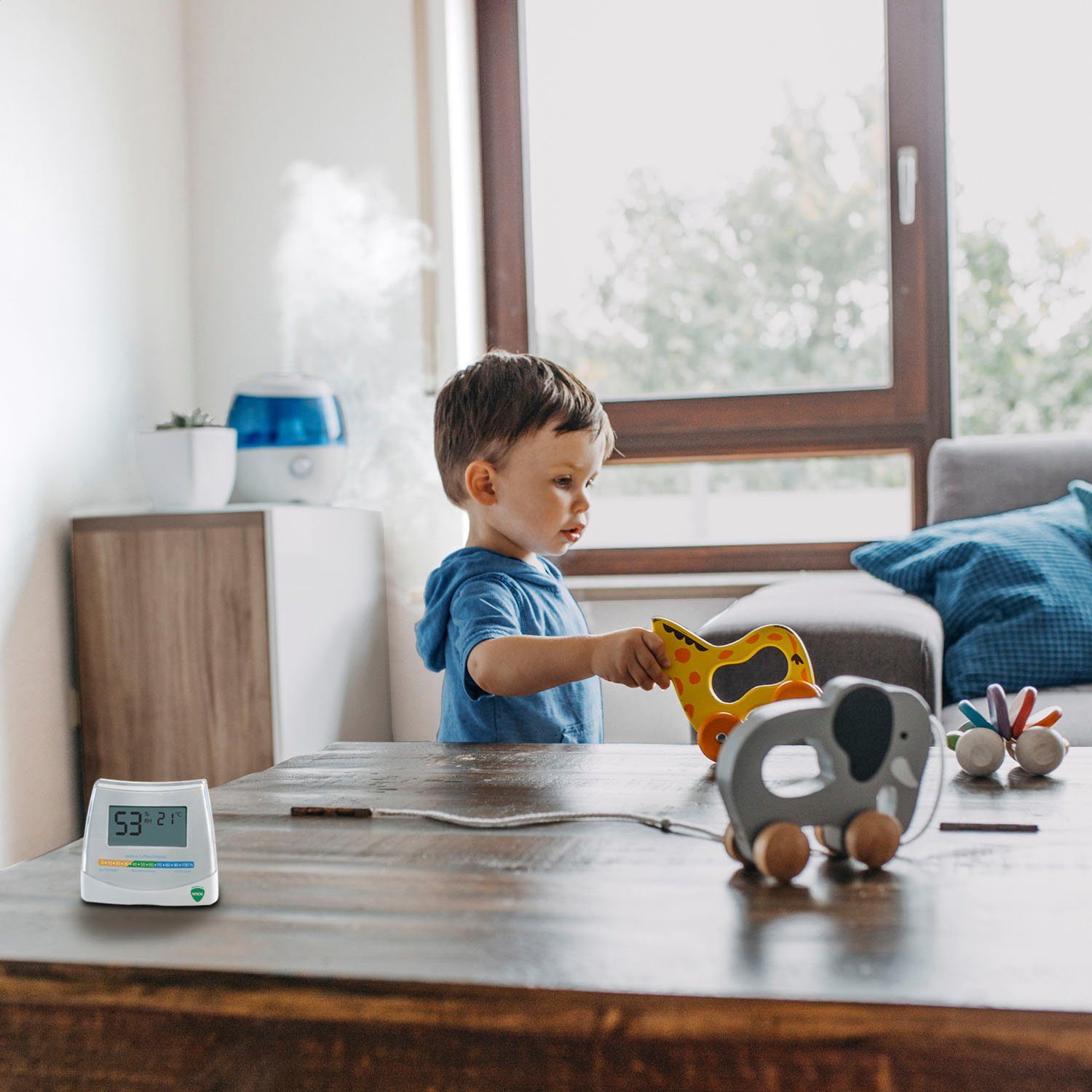 WICK Hygrometer W70, 2-in-1 Hygrometer und Thermometer, inkl. 1,5V AAA Batterie