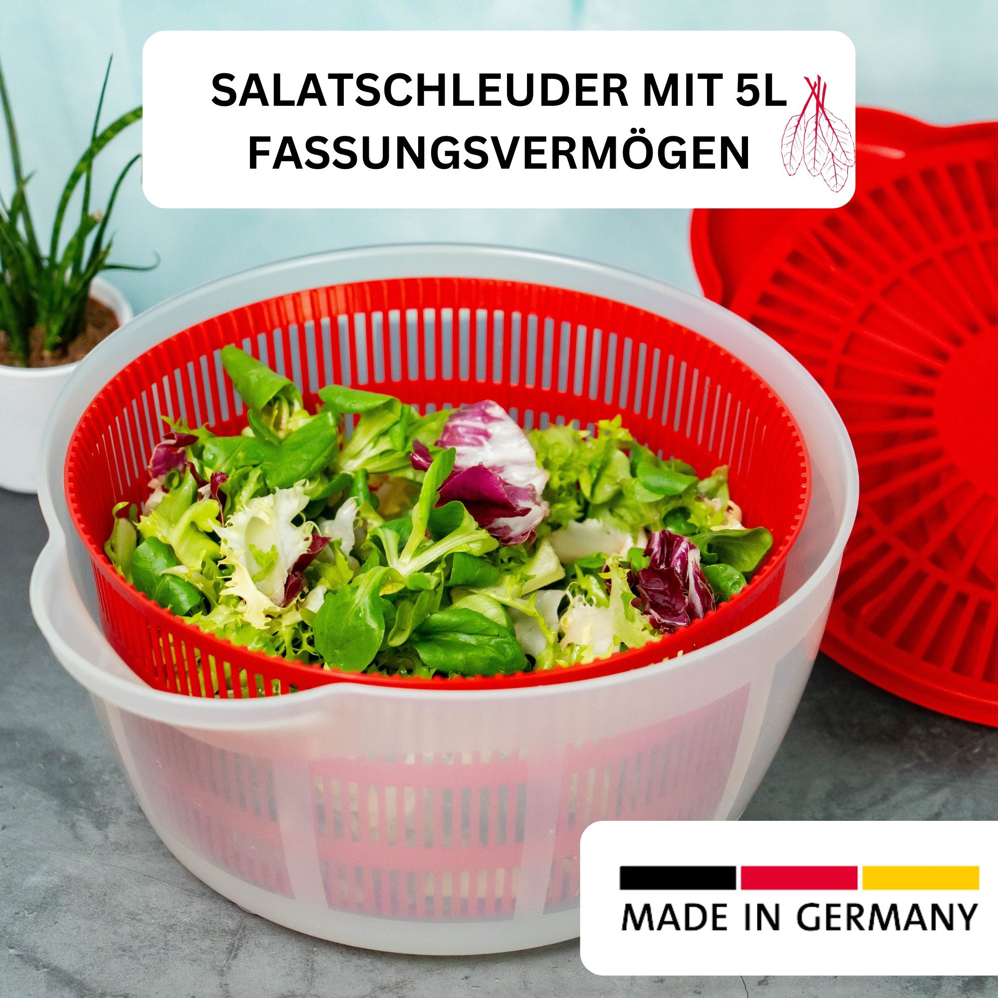 WESTMARK Salatschleuder »Fortuna«, 5 l, rutschfest, rot