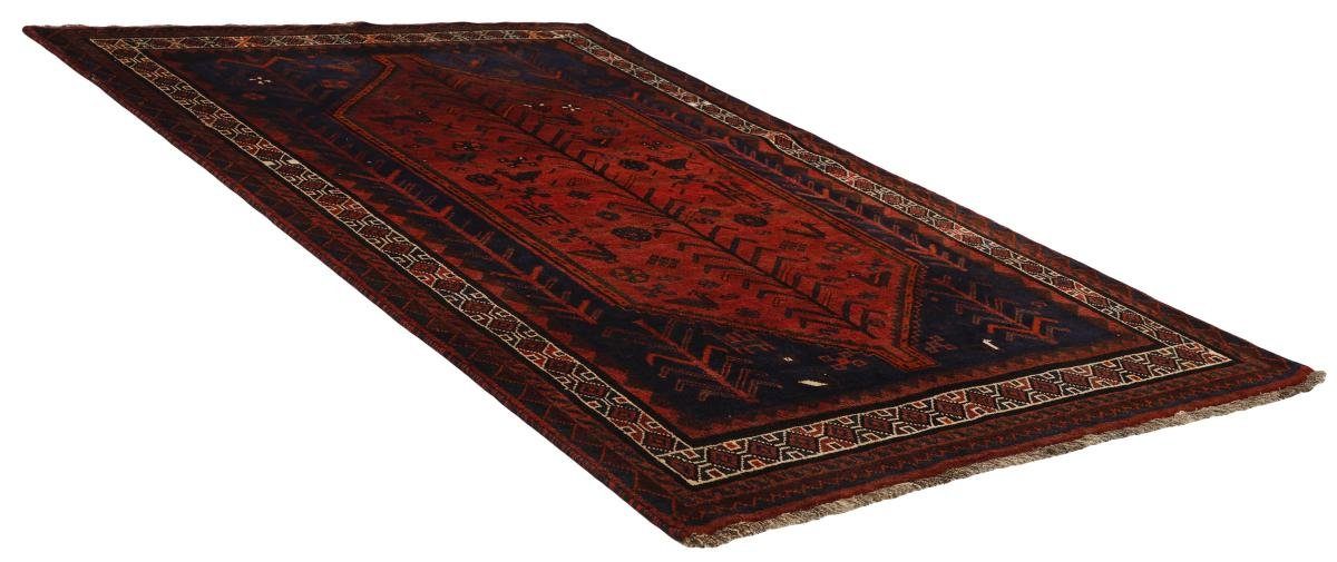 / Orientteppich Perserteppich, Handgeknüpfter mm Nain Orientteppich Trading, 171x256 10 rechteckig, Shiraz Höhe: