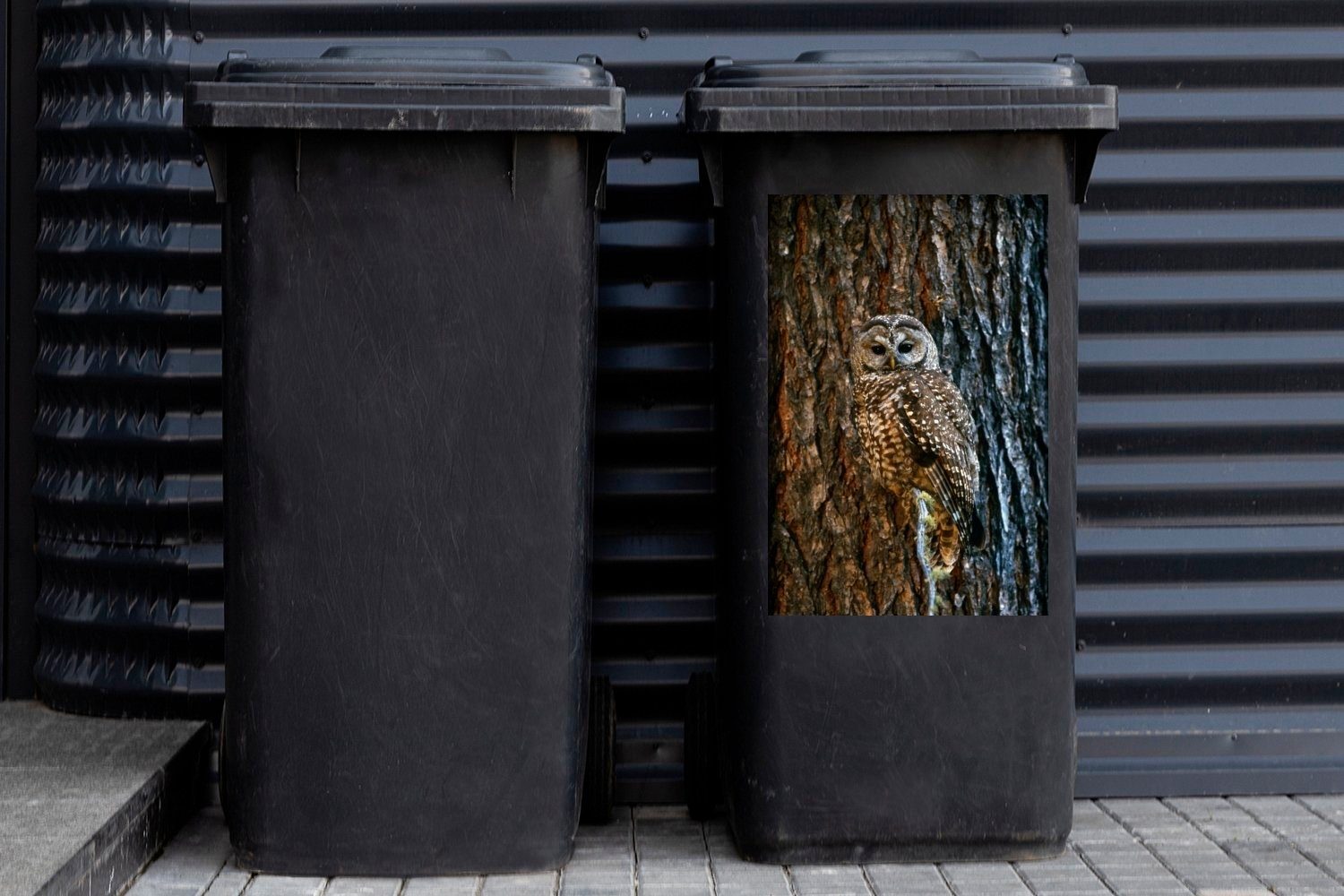 Abfalbehälter Wandsticker Camouflage Baum - Eule (1 - Container, MuchoWow Mülleimer-aufkleber, Sticker, Mülltonne, St),