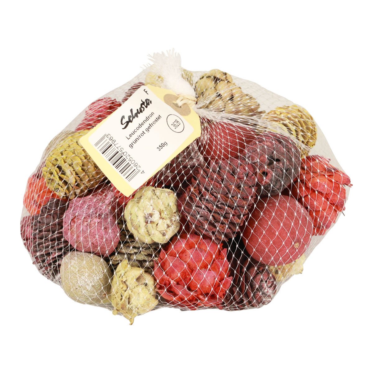 Trockenblume Leucadendron Zapfen Bellgum Deko grün rot gelb gefrostet 300g, Florists Products, Höhe 3.5 cm