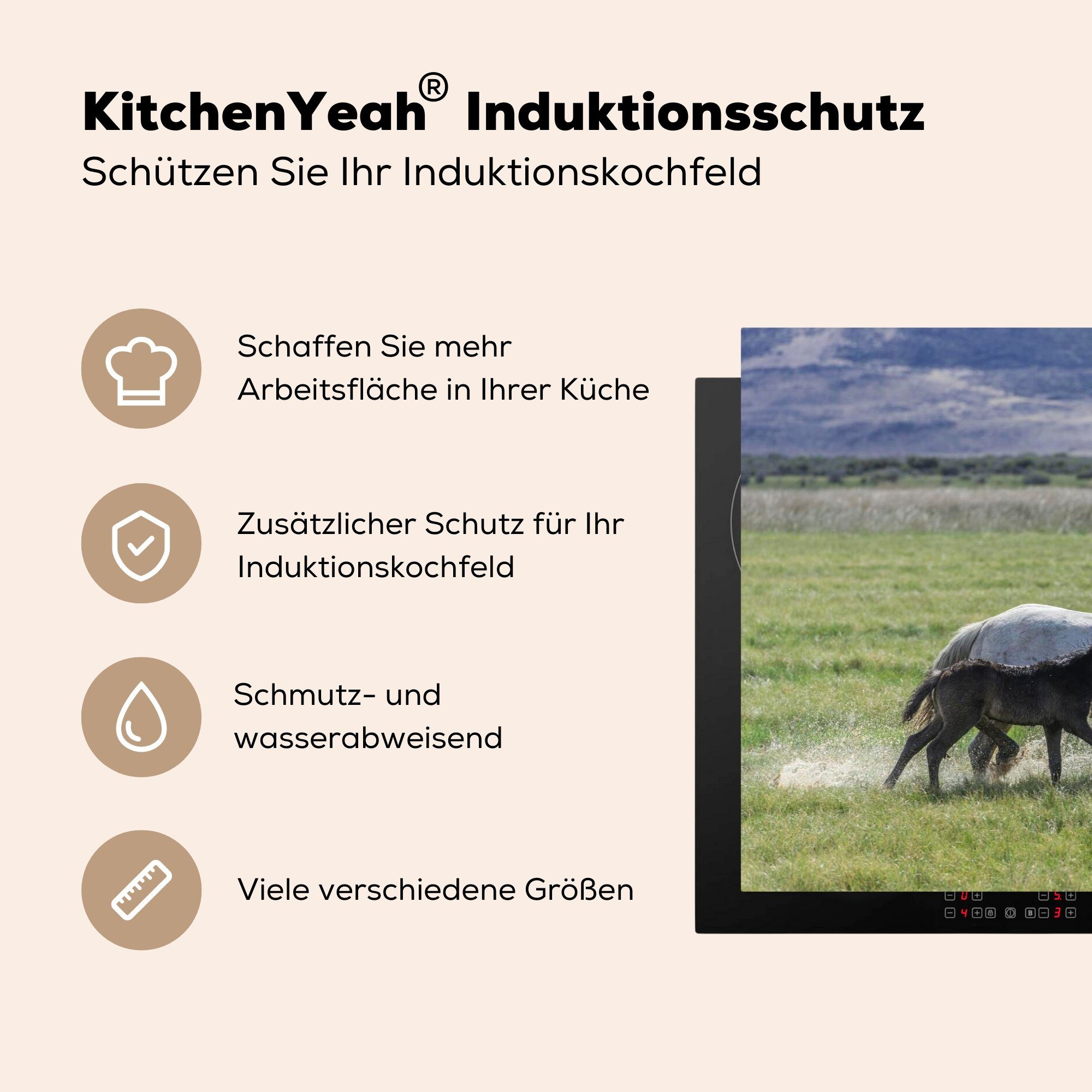 81x52 MuchoWow Schutz Braun, cm, tlg), Ceranfeldabdeckung für Vinyl, - Fohlen Herdblende-/Abdeckplatte küche, Induktionskochfeld die - Pferde (1