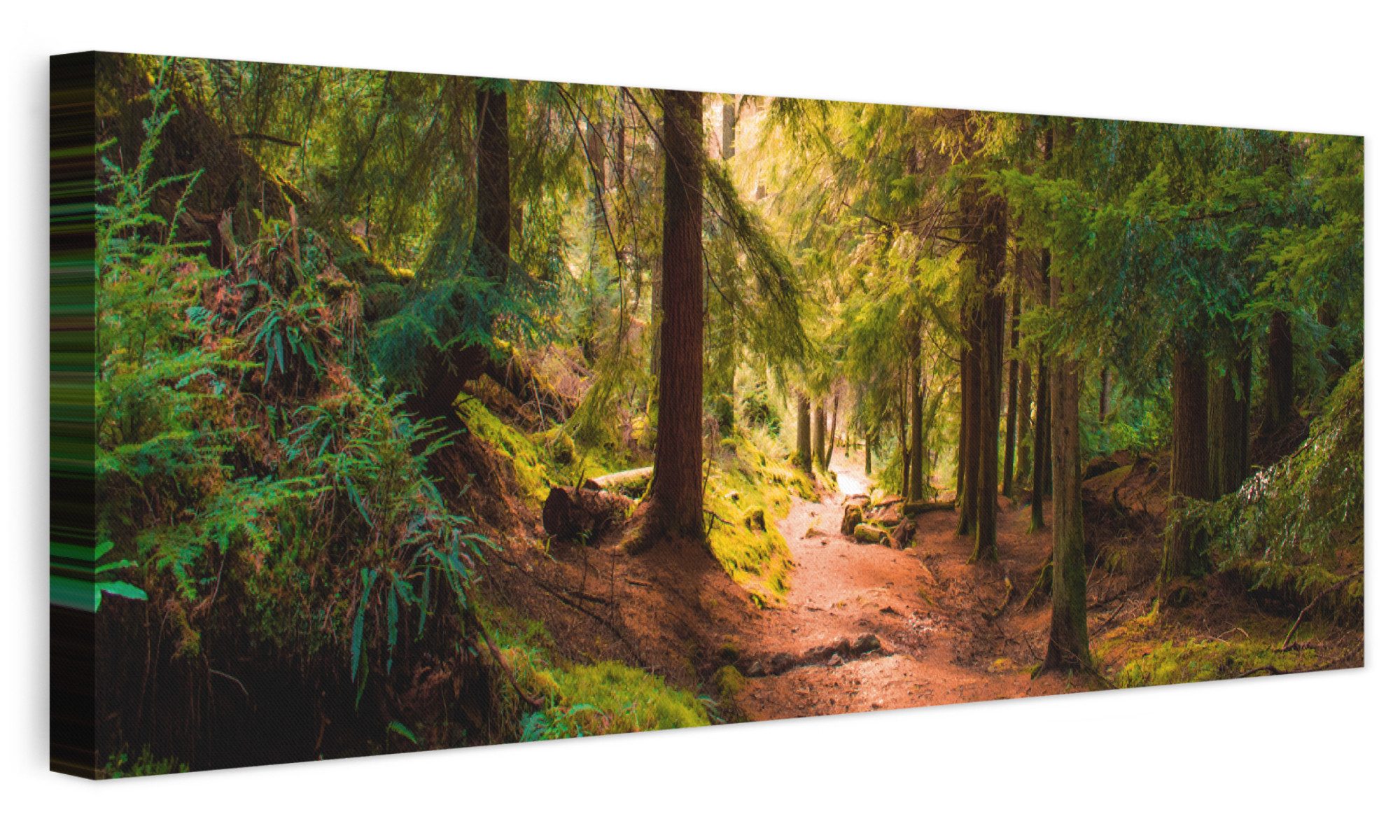 OneMillionCanvasses® Leinwandbild Panorama Wald - Weg - Bäume - Grün - Sonne - Natur, Fotodruck (1 St), Wandbild, Deko Schlafzimmer …