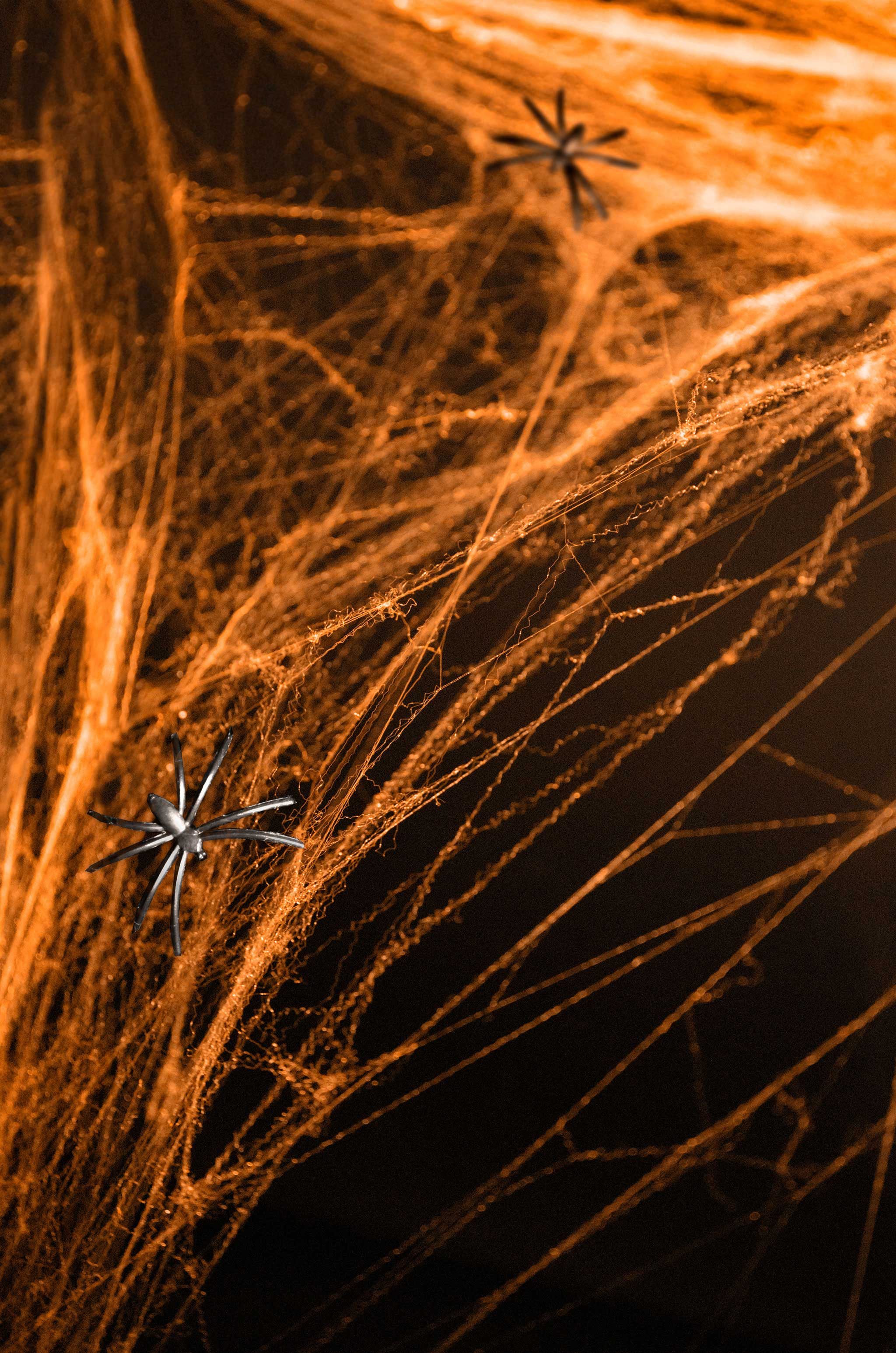 partydeco Hängedekoration, Spinnennetz Deko 60g Orange