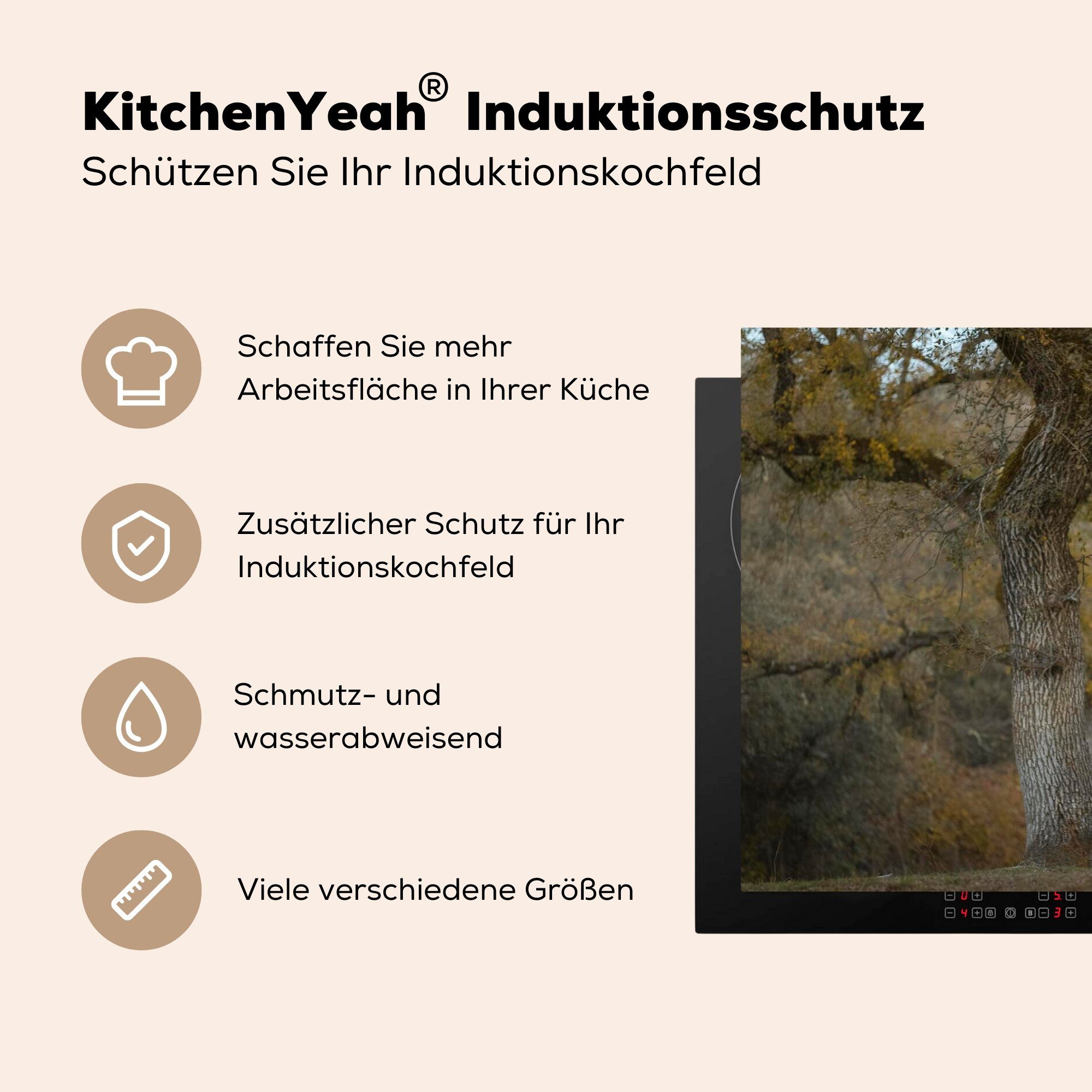 küche, 81x52 Herbst Induktionskochfeld cm, MuchoWow - - (1 Pferd Schutz tlg), Vinyl, die Herdblende-/Abdeckplatte - Andalusier, für Ceranfeldabdeckung Baum