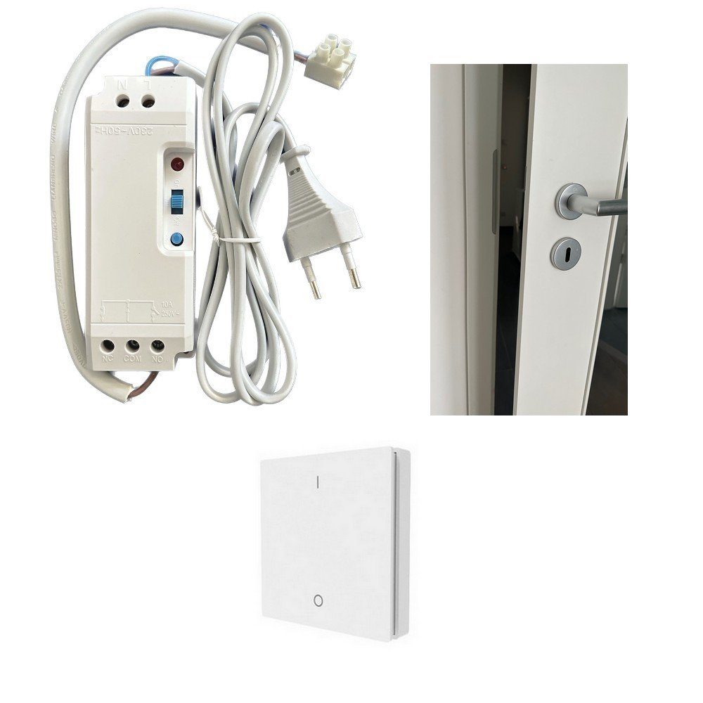 Türöffner DIW-Funk Türöffner Modul DFTO-2090-W mit Funk-Wand-Sender DWS-11