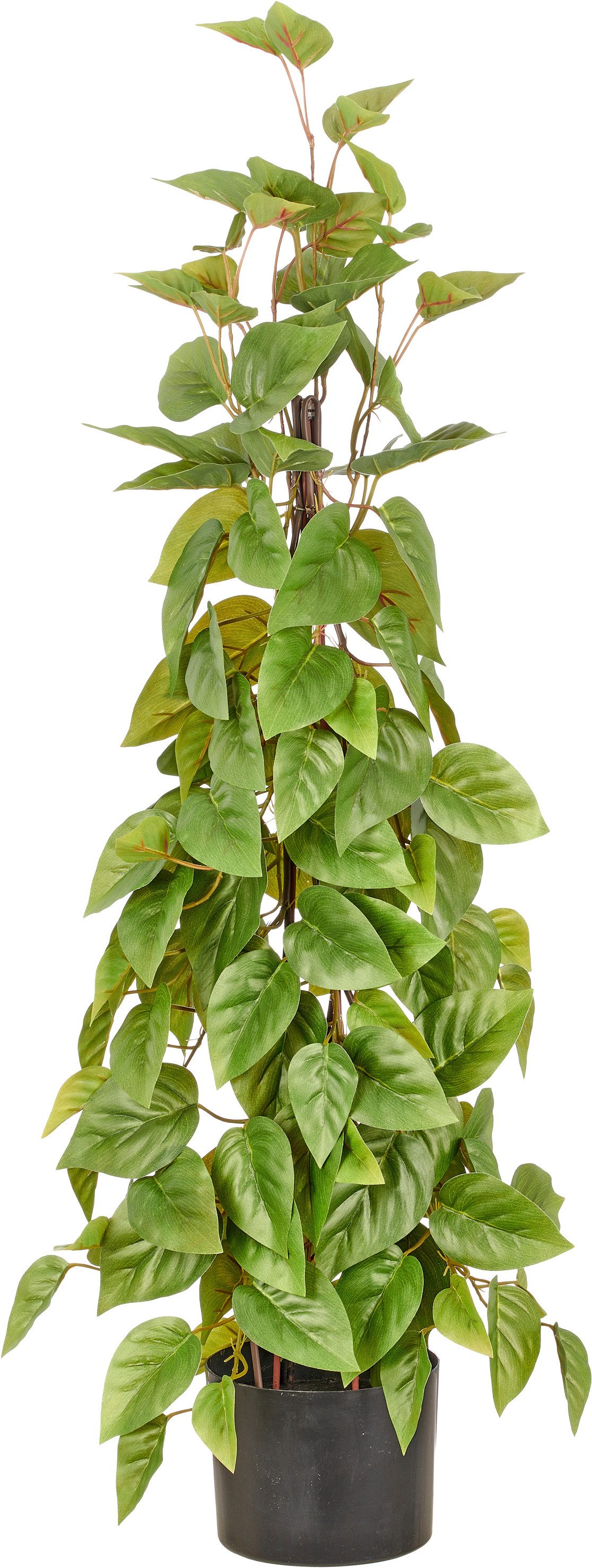Kunstbaum Philodendron scandens, Creativ green, Höhe 95 cm, in Pyramidenform