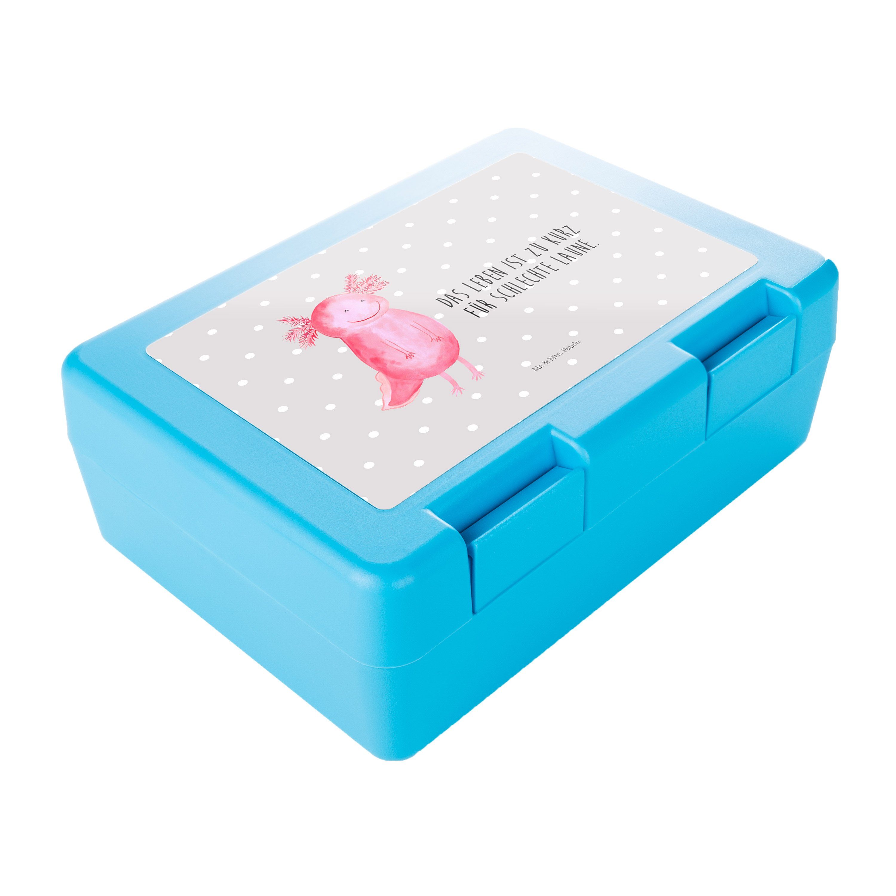 Panda Axolotl Pastell Grau - (1-tlg) - Brotzeitbox, & gute Laune, Geschenk, Mrs. Kunststoff, Butterdose Mr. glücklich Premium