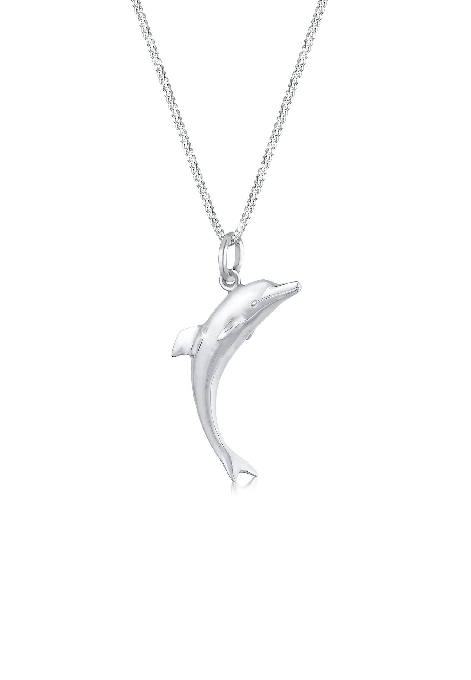 Silberschmuck Anhänger Delfin Kette mit Sommer 925er Elli Silber, und hochglanzpoliert anlaufgeschützt Maritim Panzerkette