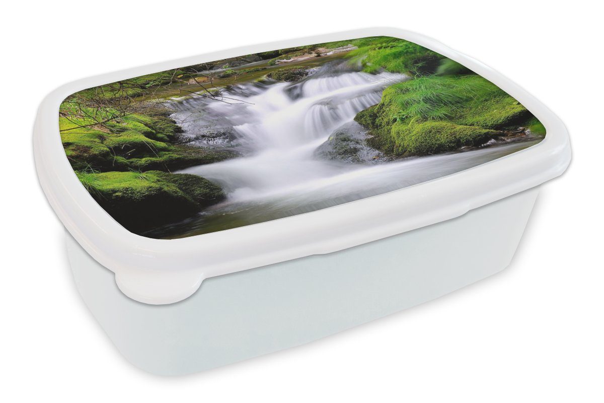 MuchoWow Lunchbox Wasser - Natur - Wasserfall, Kunststoff, (2-tlg), Brotbox für Kinder und Erwachsene, Brotdose, für Jungs und Mädchen weiß