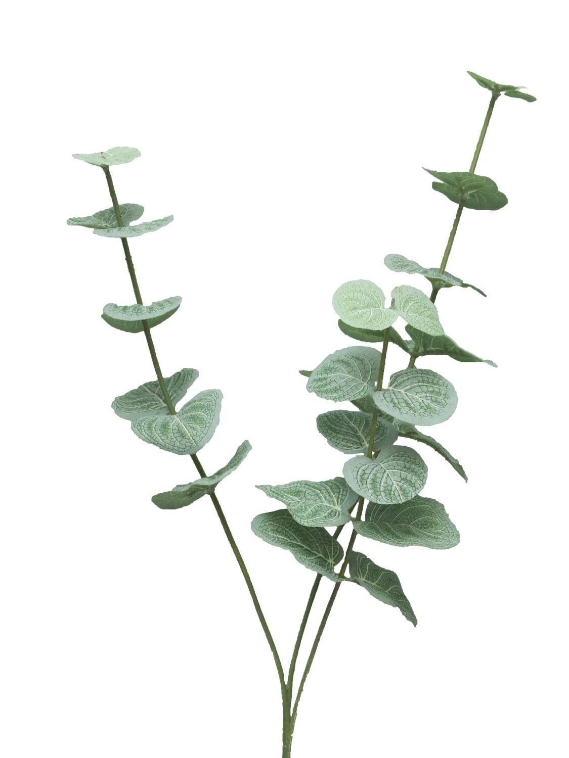 Kunstzweig Eukalyptus FENYU, grün-weiß, 60 cm Eukalyptus, artplants, Höhe 60.0 cm