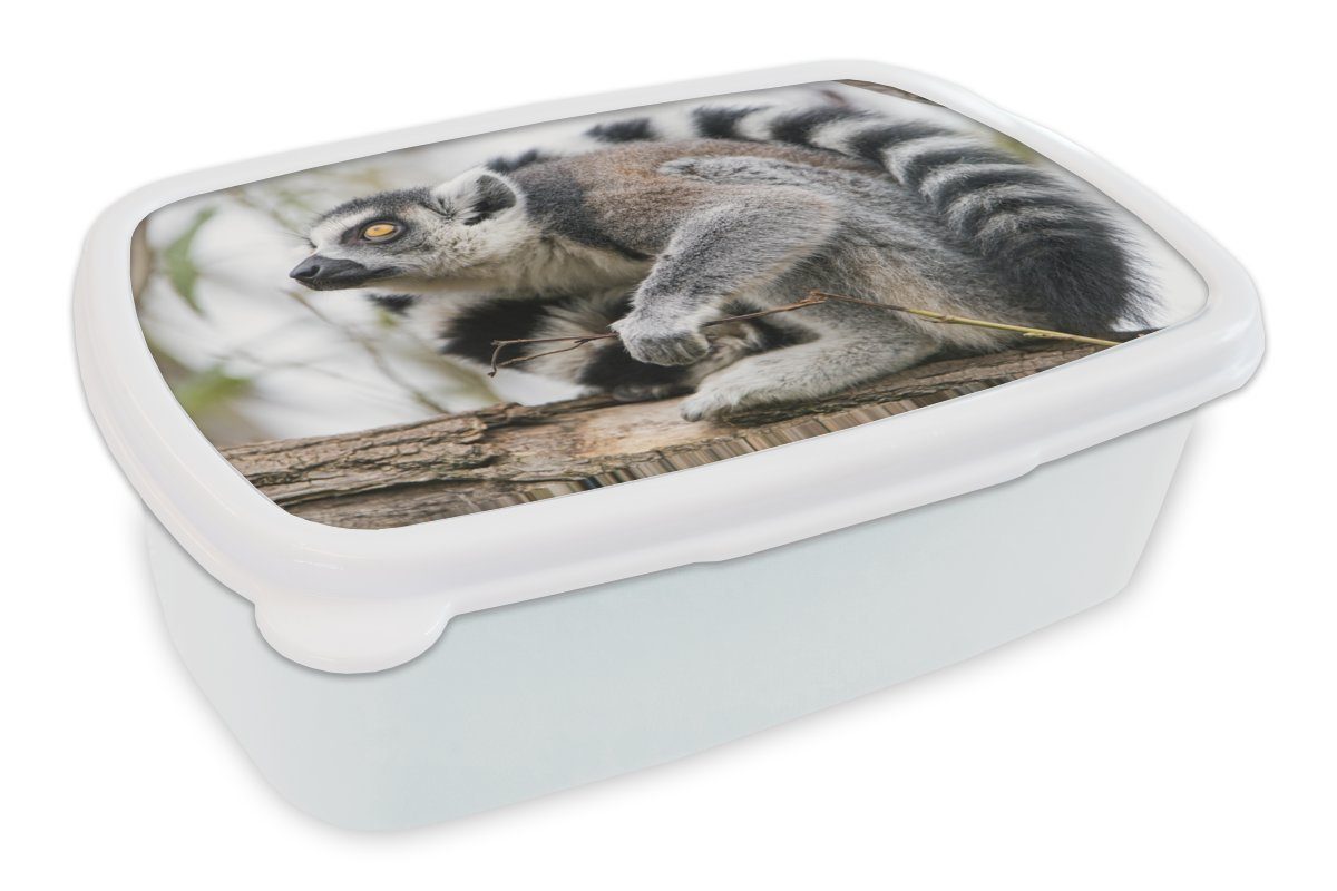 MuchoWow Lunchbox Affe - Baum - Ringelschwanzlemur, Kunststoff, (2-tlg), Brotbox für Kinder und Erwachsene, Brotdose, für Jungs und Mädchen weiß
