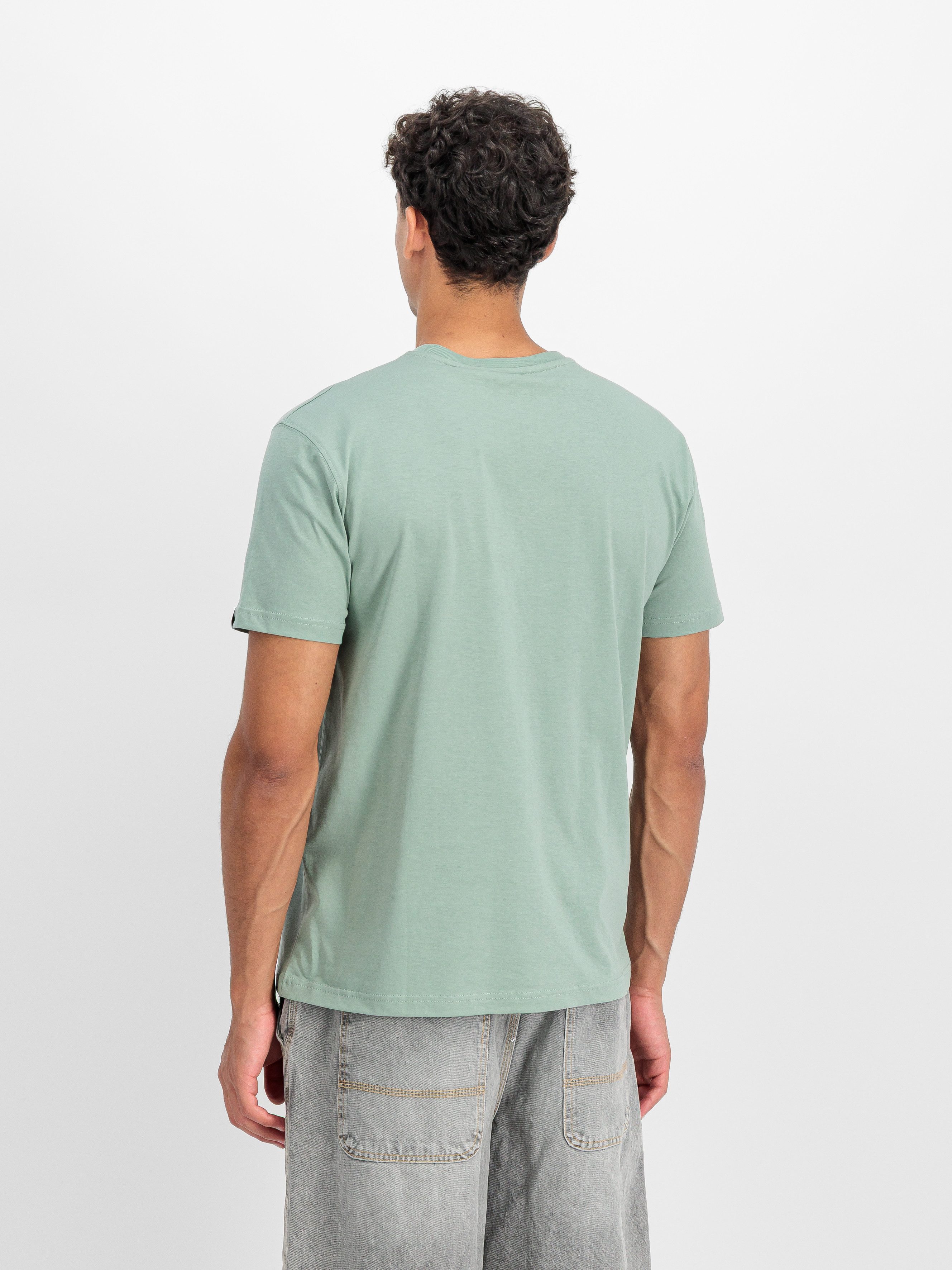 Alpha Industries Rundhalsshirt DTM Alpha T