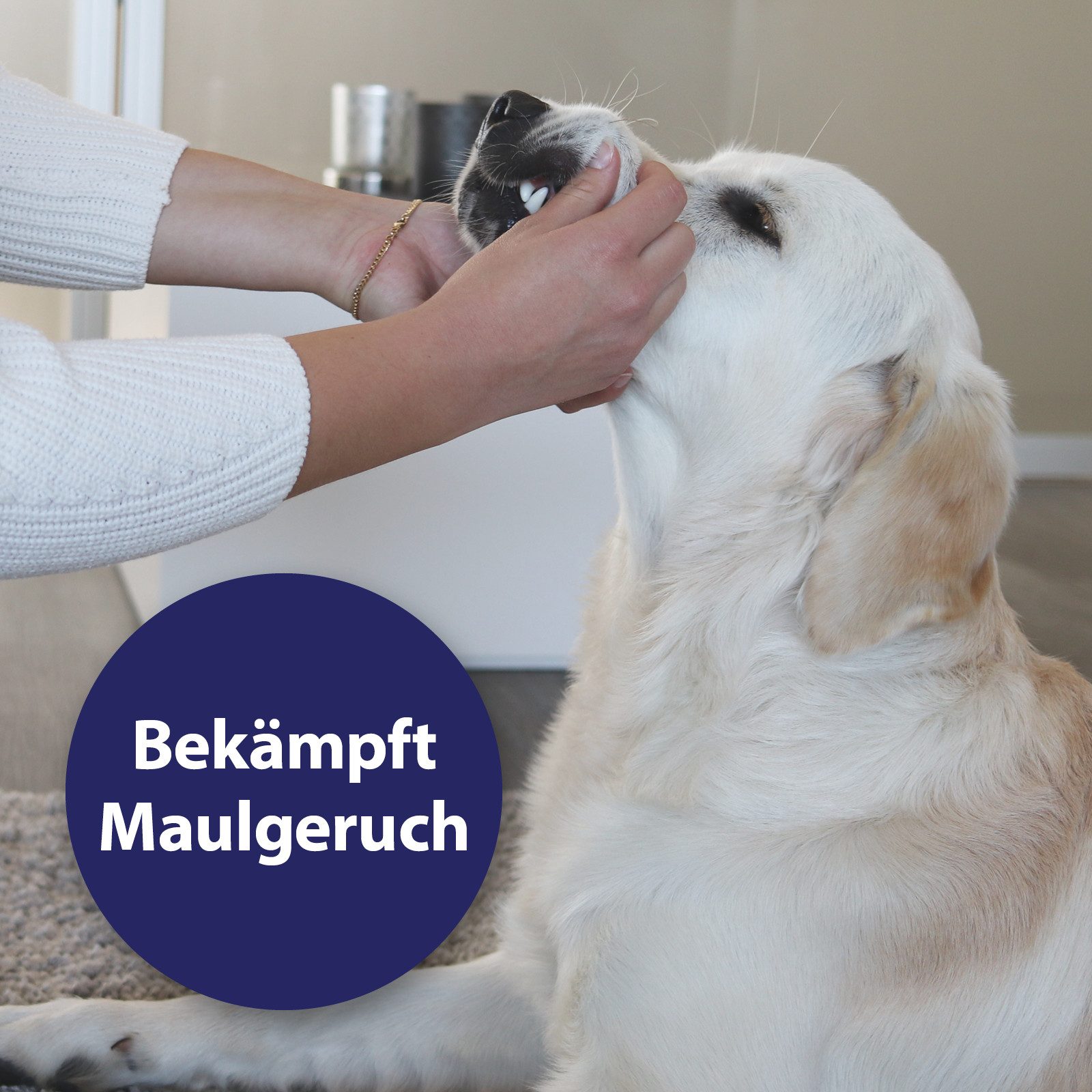 Canosept Fellpflege Canosept Zahnpflege Spray für Hunde 100 ml
