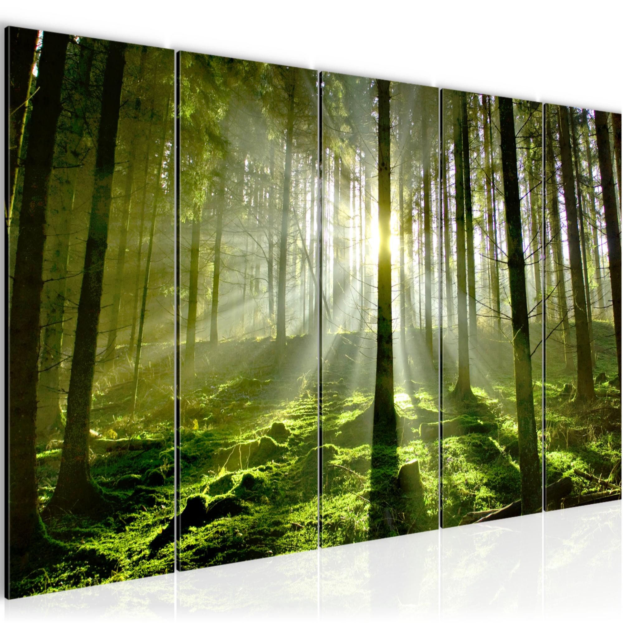 Runa Art Wandbild Bild Wald Landschaft auf Vlies Leinwand Wanddekoration 602956a, 150L x 60B cm