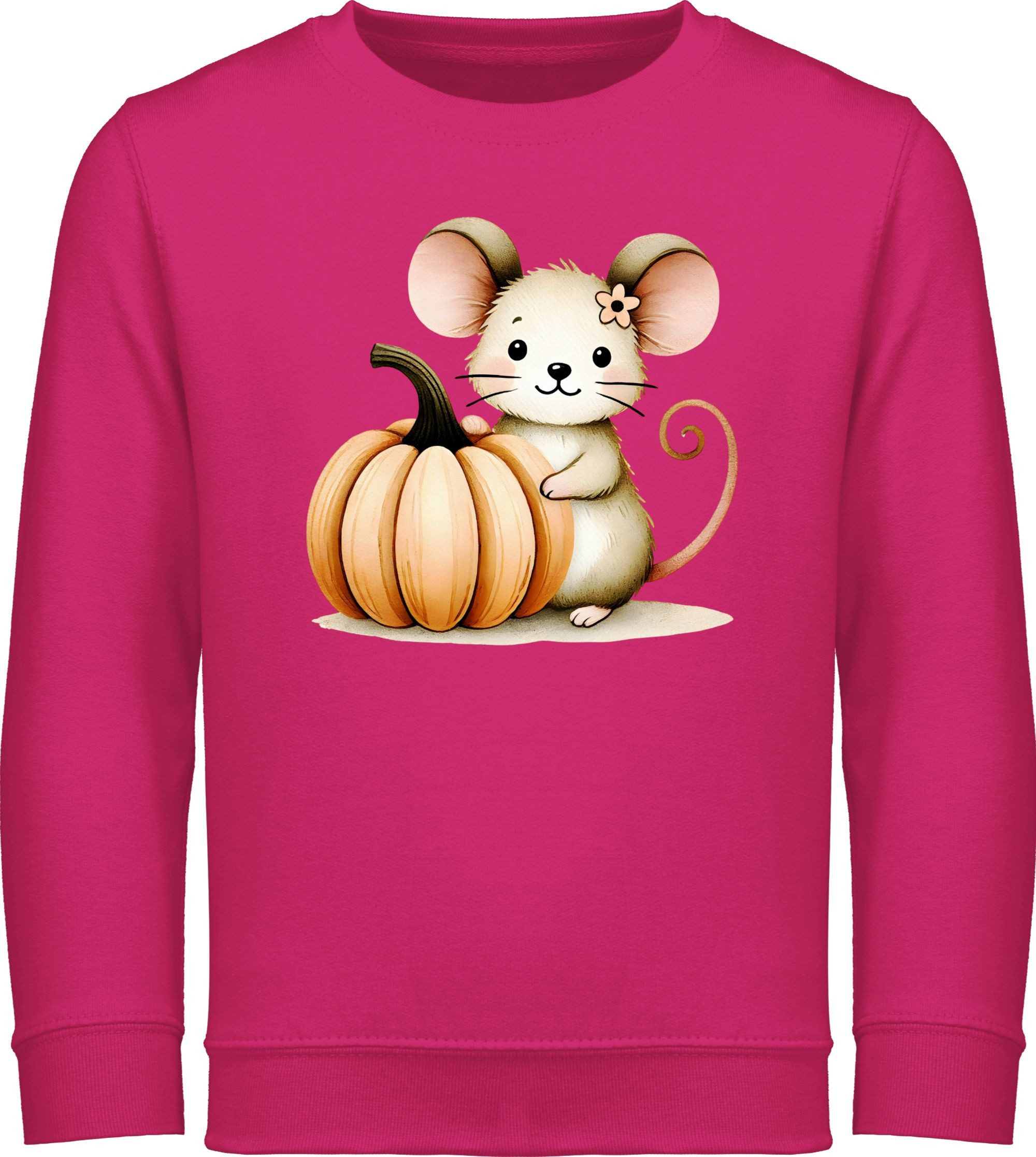 Sweatshirt Süße Maus mit Kürbis, Niedliches Herbst Design für Babys und Kinder