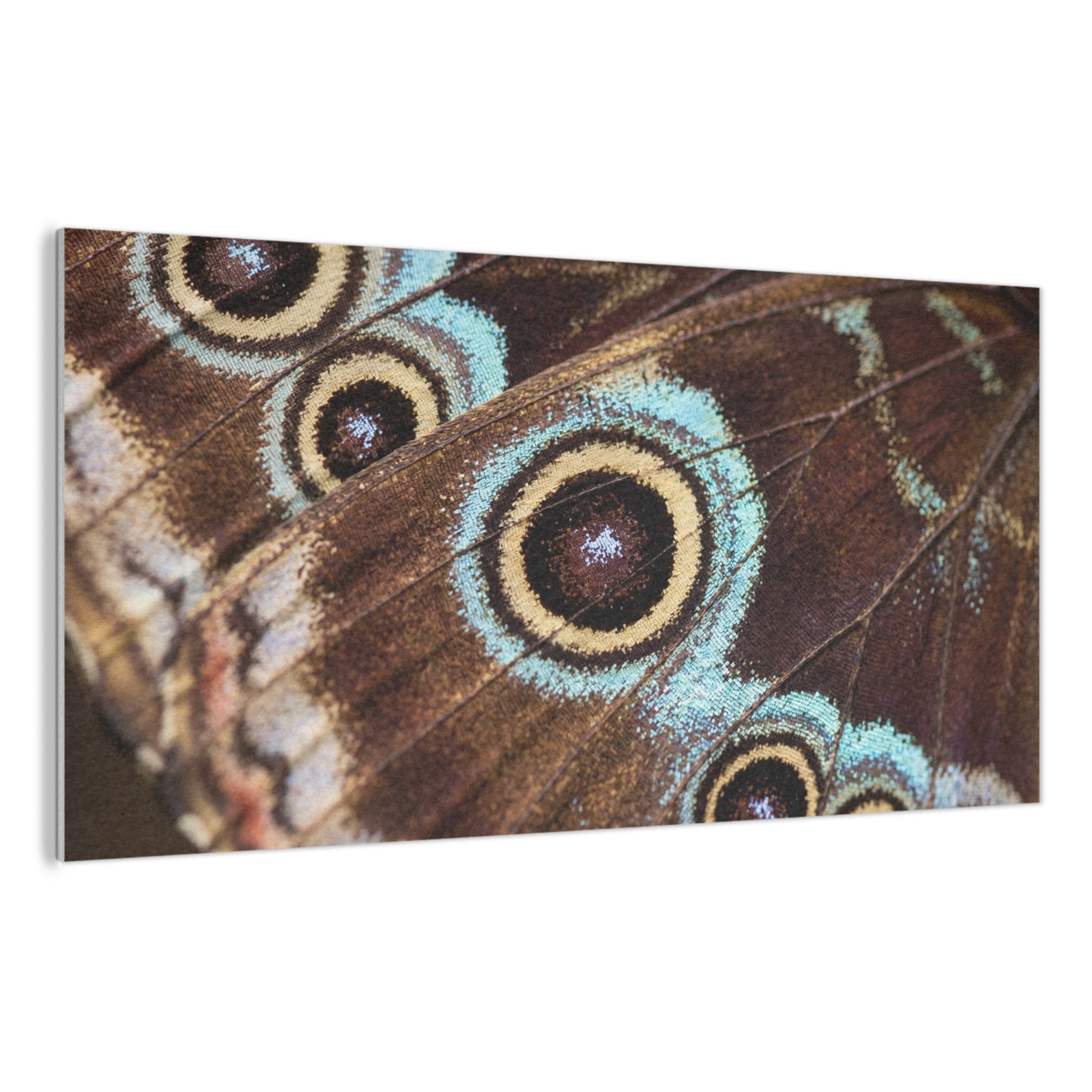 MuchoWow Gemälde Flügel - Schmetterling - Blau, Fotodruck (1 St), Akustikpaneele, Wandpaneele, Schalldämmung, Akustikbilder 120x60 cm