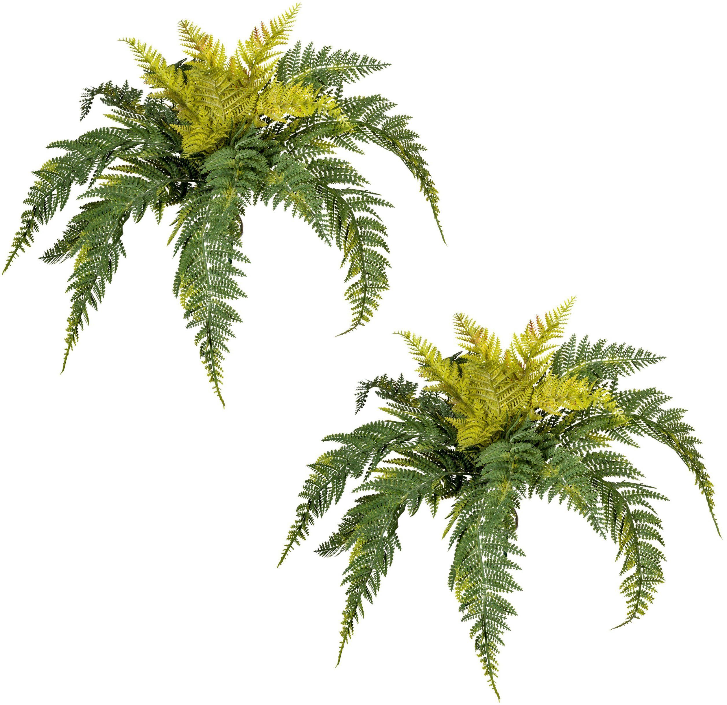 Künstliche Zimmerpflanze Bostonfarn Farn, Creativ green, Höhe 35 cm, im 2er Set