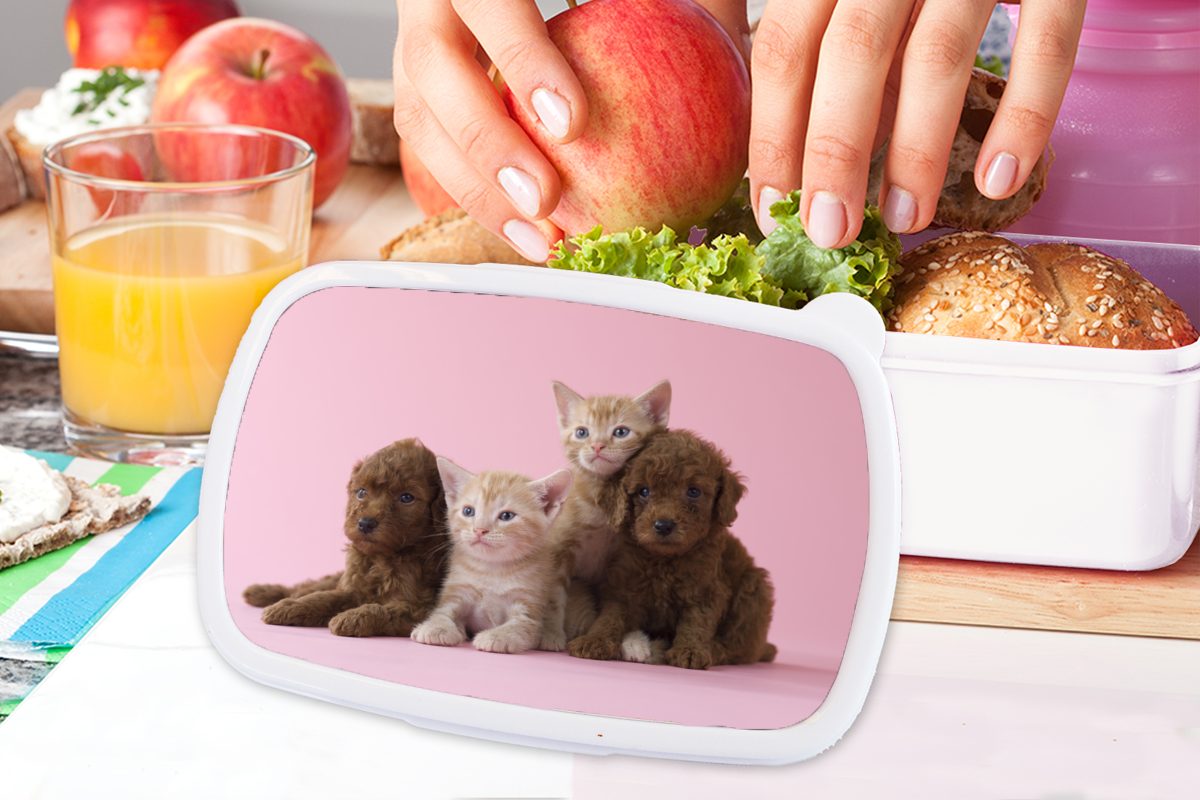 MuchoWow Lunchbox Kunststoff, Brotbox Mädchen Rosa, Jungs - und Kinder - für Welpe weiß Erwachsene, Kätzchen (2-tlg), und für Brotdose