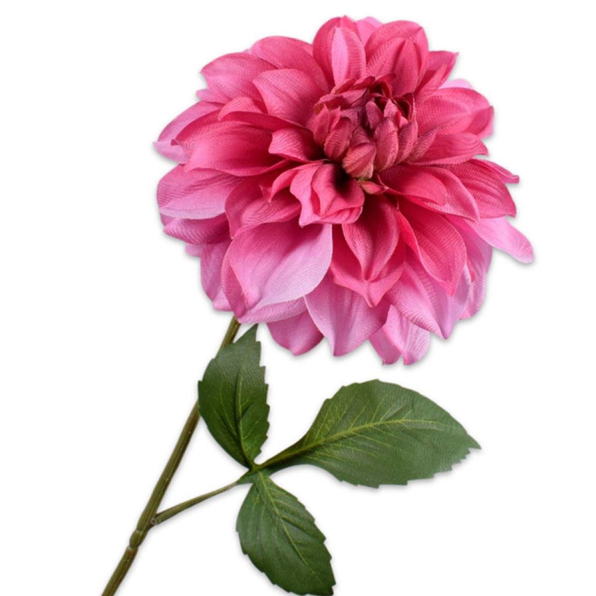 Künstliche Zimmerpflanze Seidenblume Dahlie Pink (71cm), SILK-KA