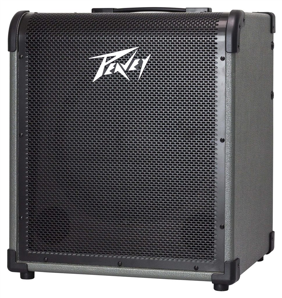 Peavey E-Gitarre Peavey MAX 150