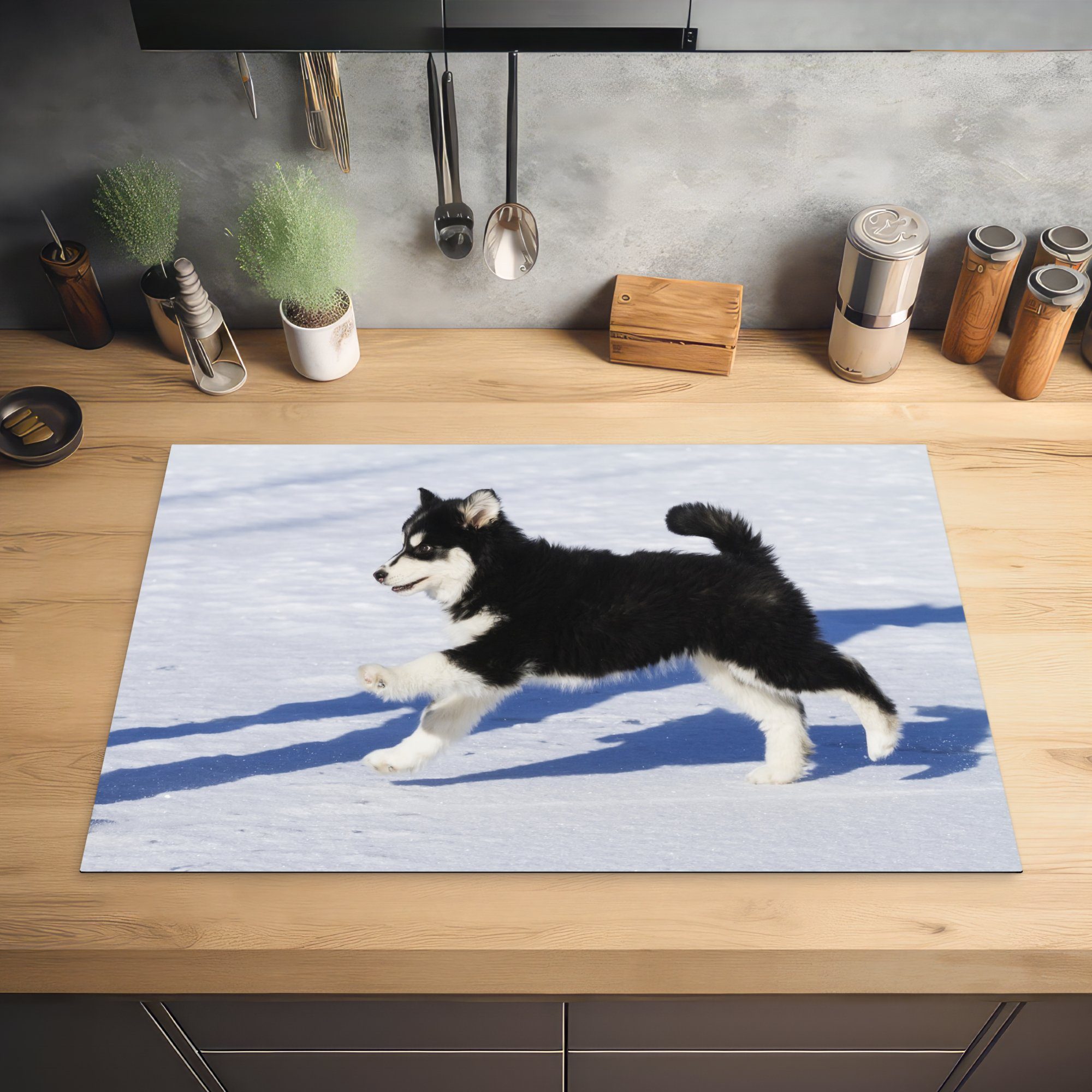 Herdblende-/Abdeckplatte (1 MuchoWow Induktionskochfeld Husky-Welpe Ceranfeldabdeckung tlg), Schutz küche, den über Vinyl, cm, die Schnee, läuft 81x52 für