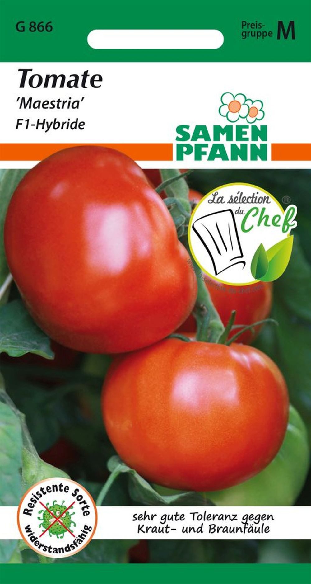SAMEN PFANN Gemüsesamen Tomate, Maestria F1 (Bester Geschmack) - Saatgut To günstig online kaufen