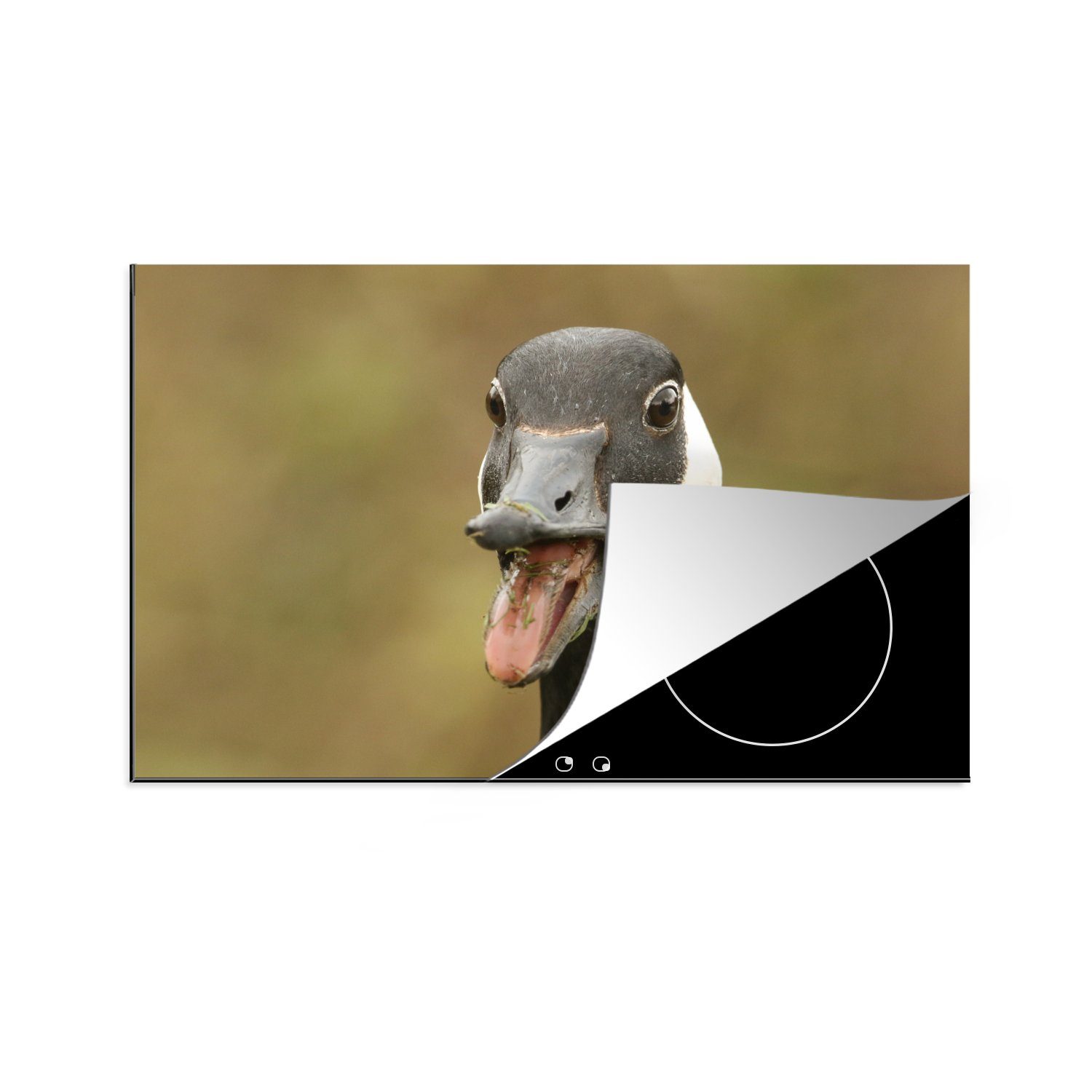 MuchoWow Herdblende-/Abdeckplatte Vogelkopf einer größeren Kanadagans, Vinyl, (1 tlg), 81x52 cm, Induktionskochfeld Schutz für die küche, Ceranfeldabdeckung