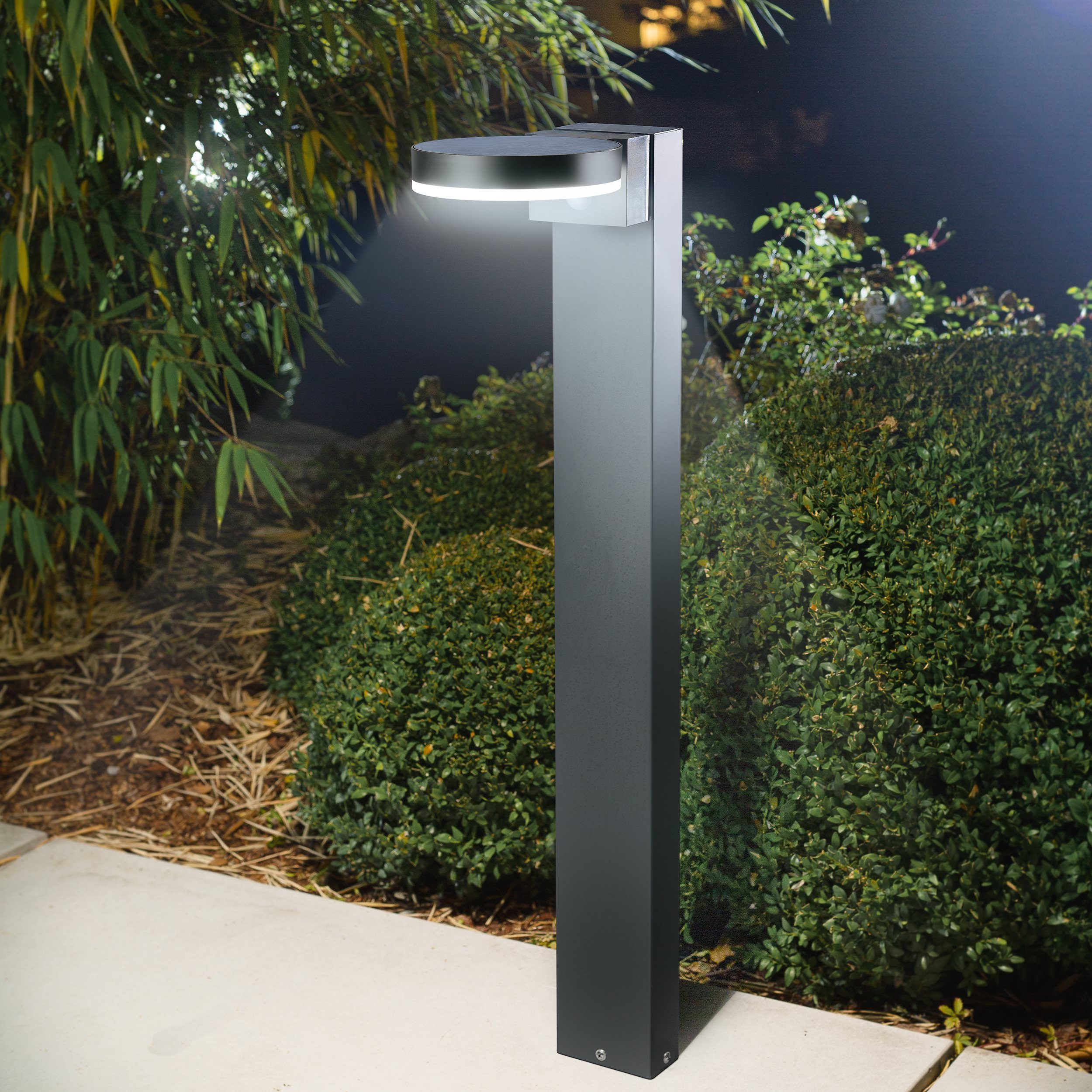 esotec LED Gartenleuchte Solar PIR Standleuchte DIANA H=80cm, ALUMINIUM, 3 Modi, 40 LEDs 102599