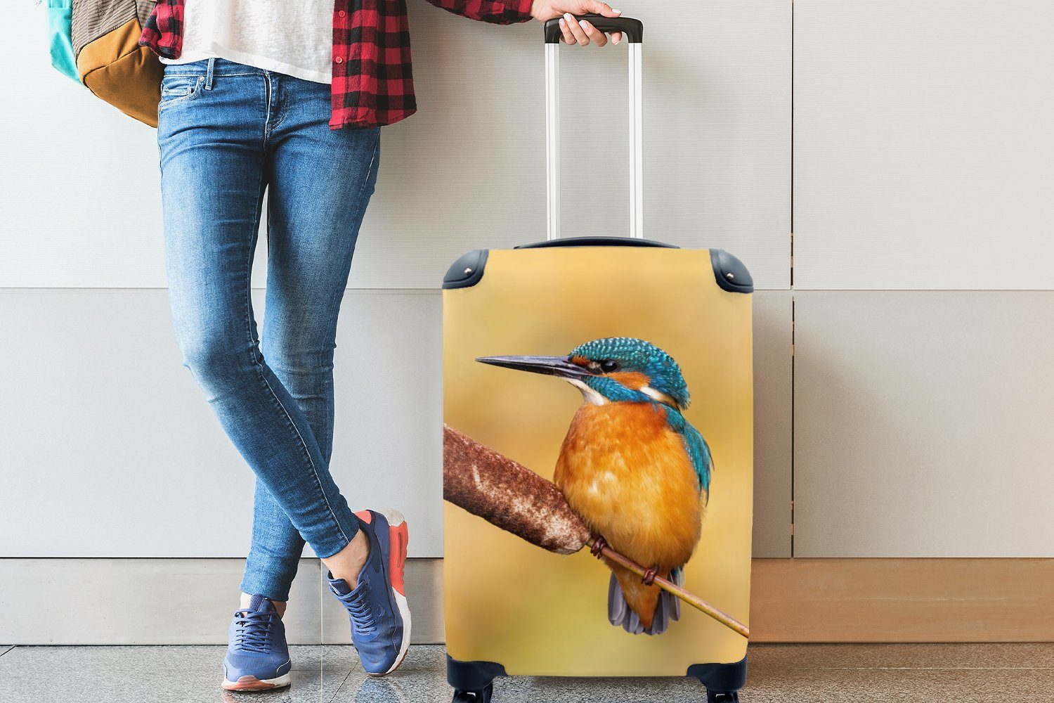 Vogel, Handgepäckkoffer MuchoWow 4 Rollen, Eisvogel mit Handgepäck Trolley, für Reisetasche Ferien, Natur - rollen, - Reisekoffer