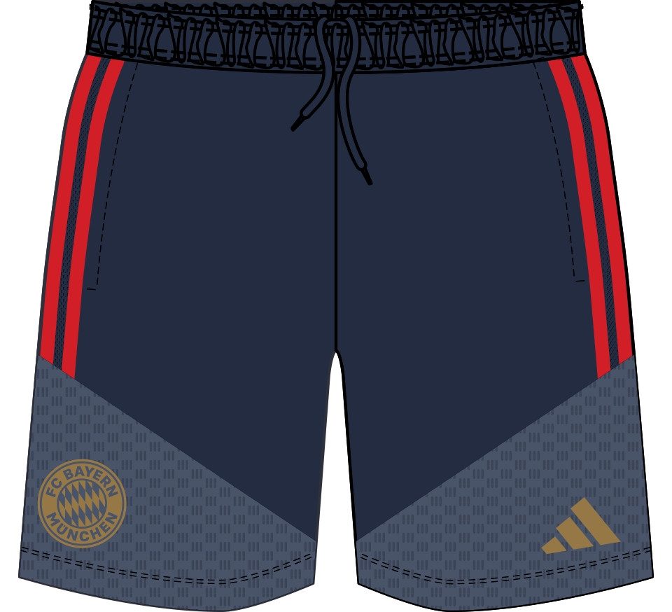 adidas Sportswear Trainingsshorts FCB TR SHOY