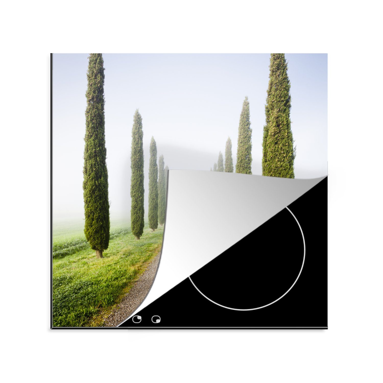 MuchoWow Herdblende-/Abdeckplatte Baum - Nebel - Toskana - Zypresse, Vinyl, (1 tlg), 78x78 cm, Ceranfeldabdeckung, Arbeitsplatte für küche