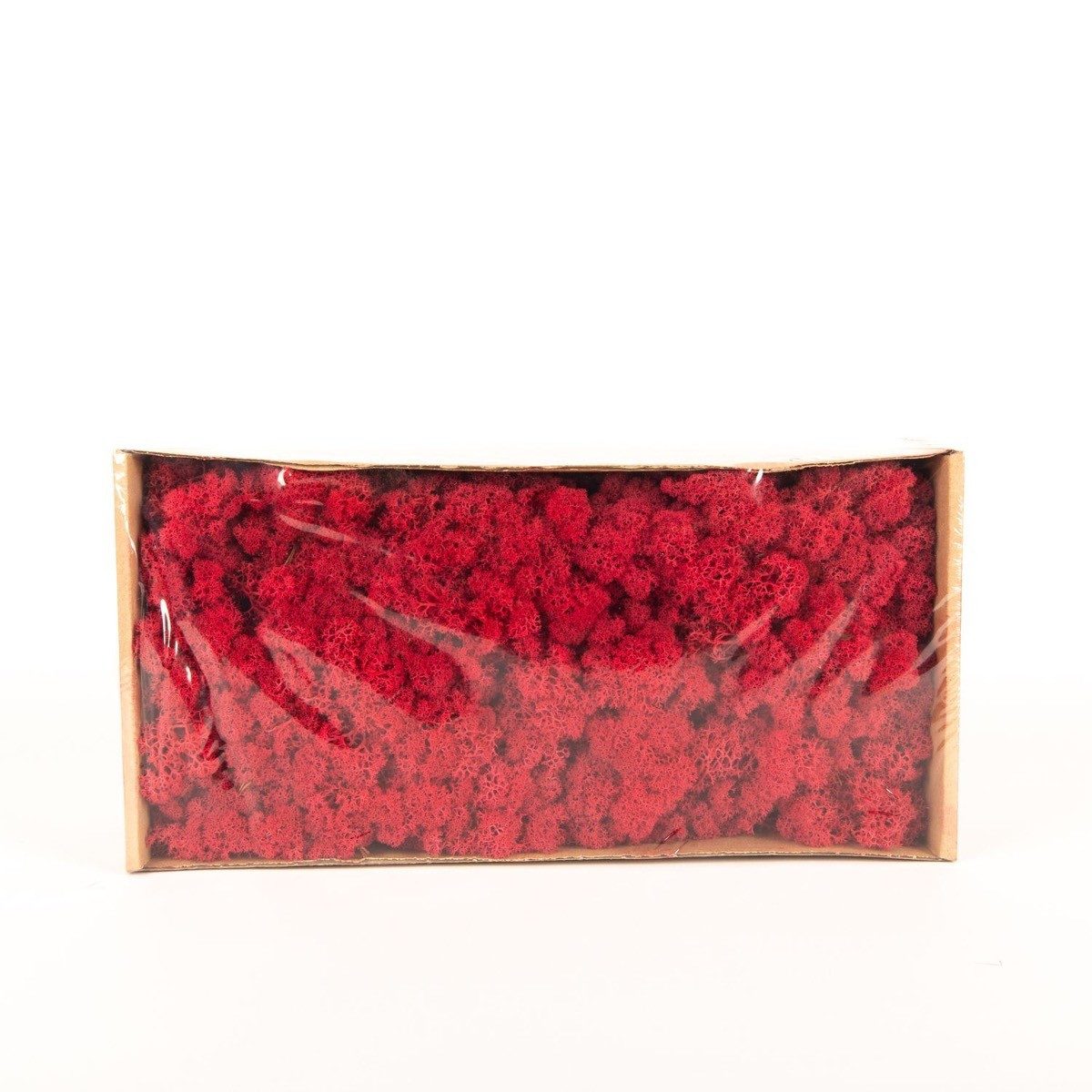 INNA-Glas Moos Dekoratives Moos SVEINBJÖRN, crimsonrot, 500g