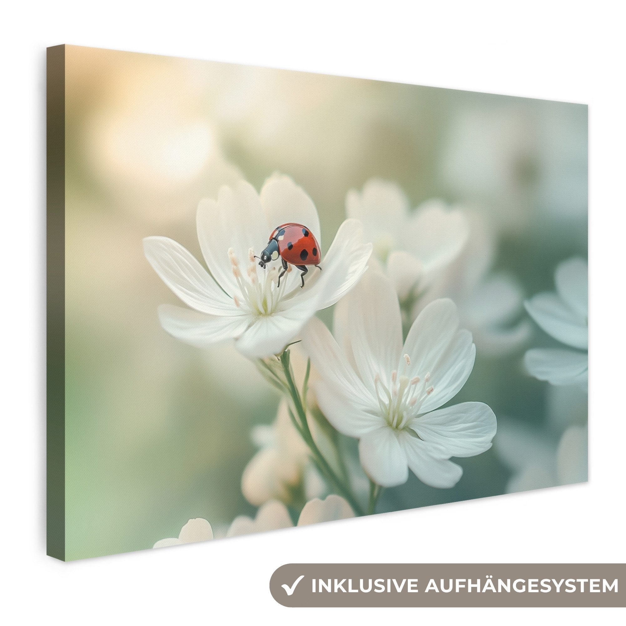 OneMillionCanvasses® Leinwandbild Marienkäfer - Blumen - Weiß, Fotodruck (1 St), Leinwand Bilder Klein, Wand Dekoration Aesthetic 30x20 cm